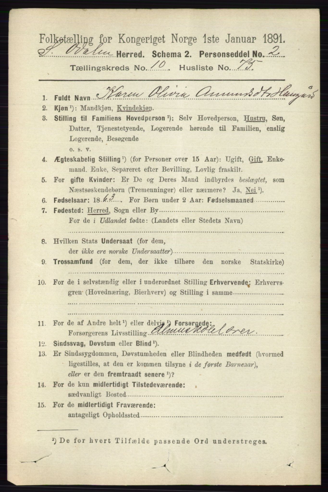 RA, 1891 census for 0419 Sør-Odal, 1891, p. 4821