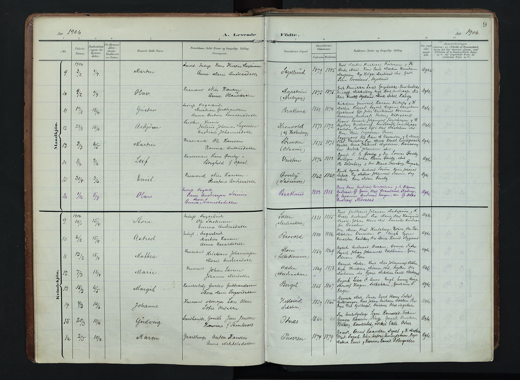 Søndre Land prestekontor, SAH/PREST-122/K/L0005: Parish register (official) no. 5, 1905-1914, p. 9