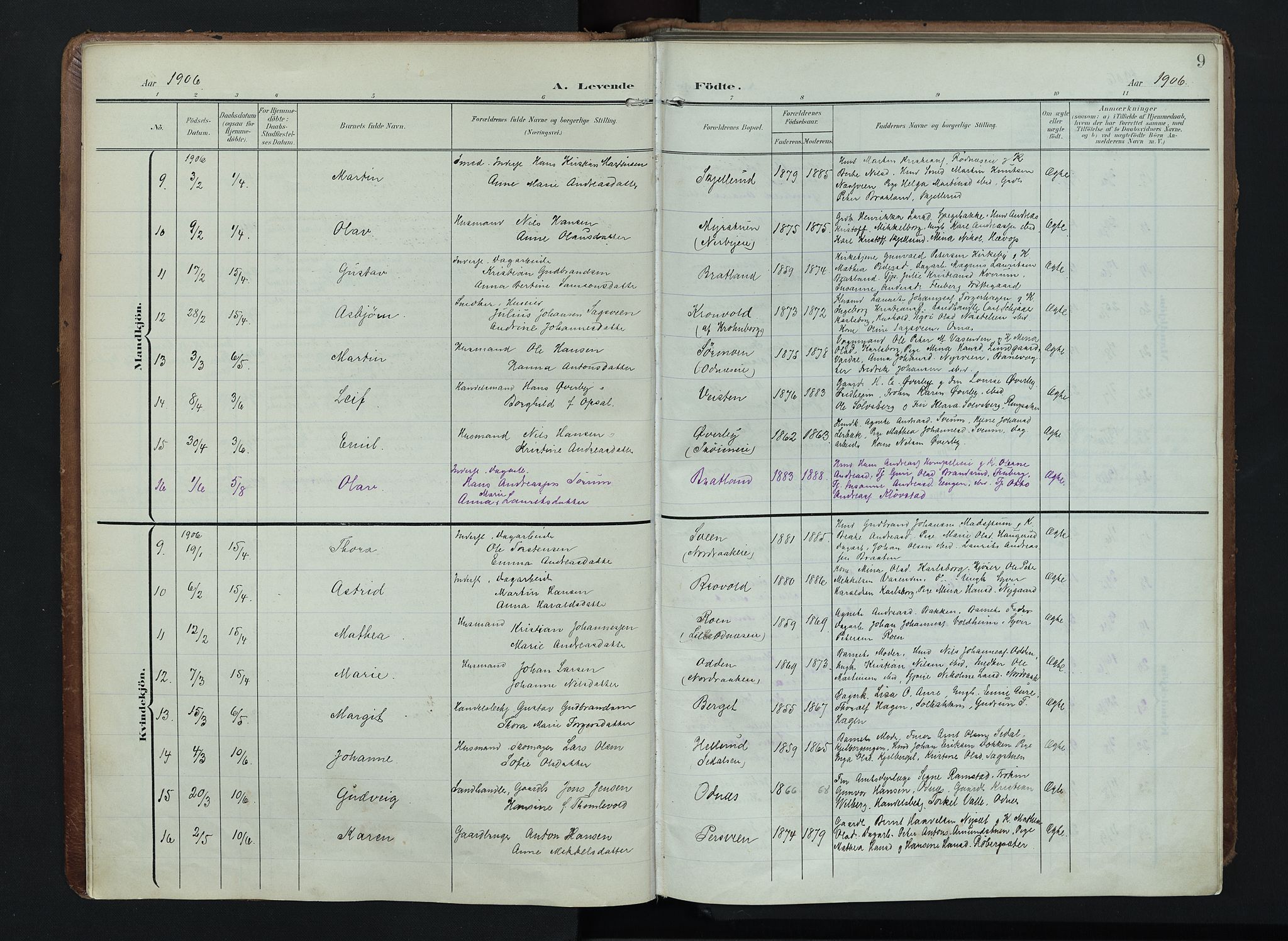 Søndre Land prestekontor, AV/SAH-PREST-122/K/L0005: Parish register (official) no. 5, 1905-1914, p. 9