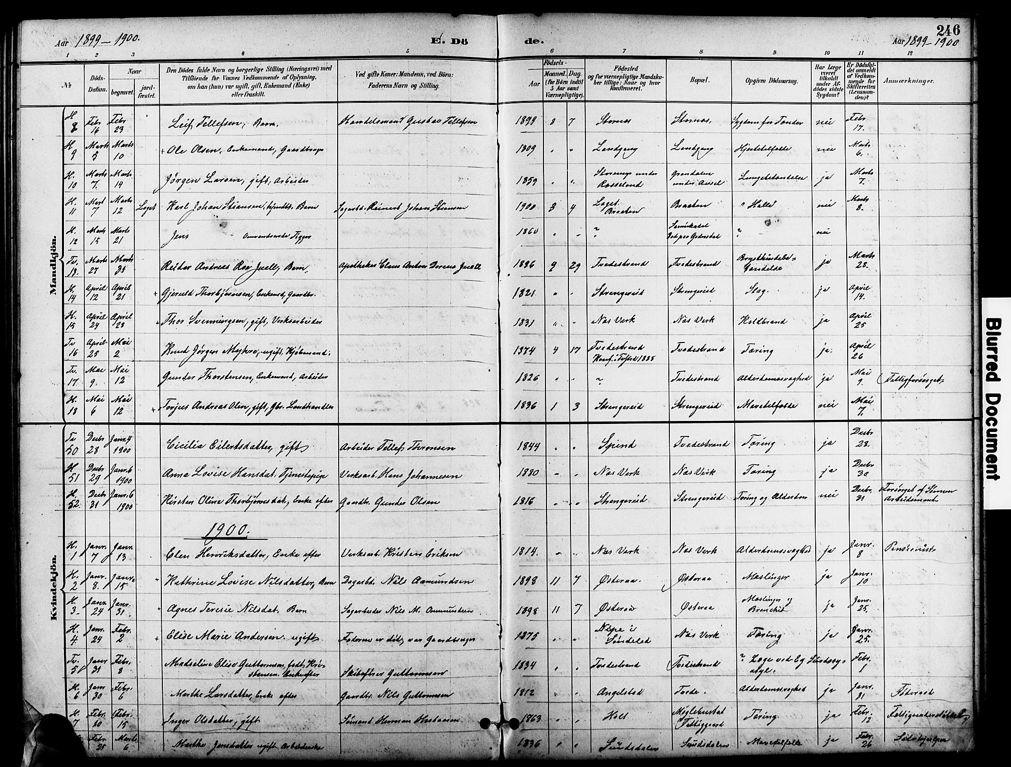 Holt sokneprestkontor, SAK/1111-0021/F/Fb/L0011: Parish register (copy) no. B 11, 1897-1921, p. 246