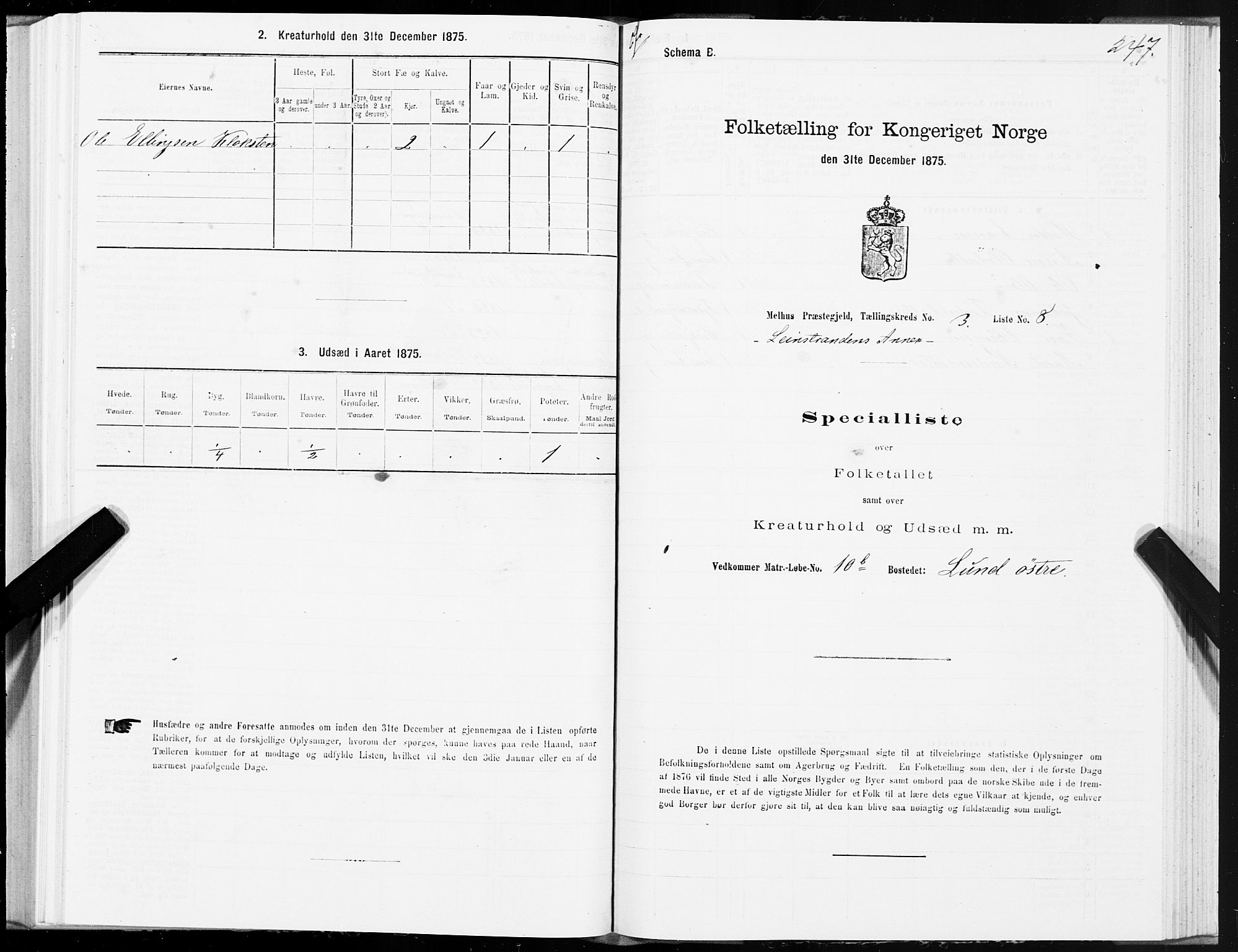 SAT, 1875 census for 1653P Melhus, 1875, p. 8247