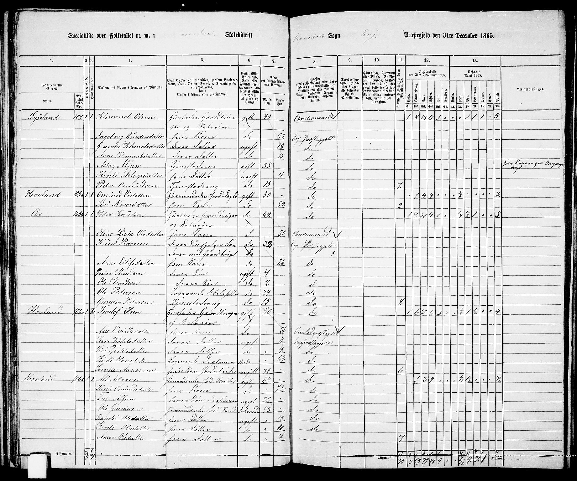 RA, 1865 census for Evje, 1865, p. 47