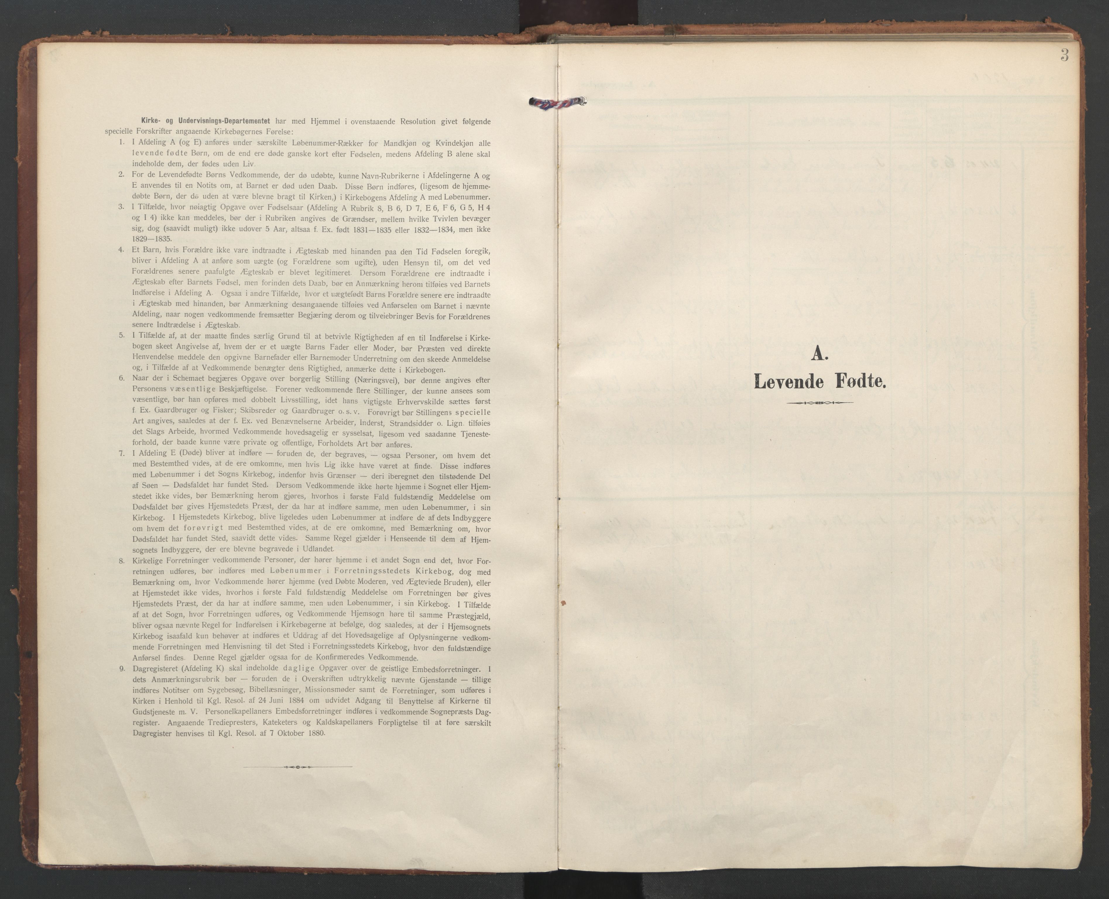 Ministerialprotokoller, klokkerbøker og fødselsregistre - Nordland, AV/SAT-A-1459/855/L0805: Parish register (official) no. 855A13, 1906-1920, p. 3