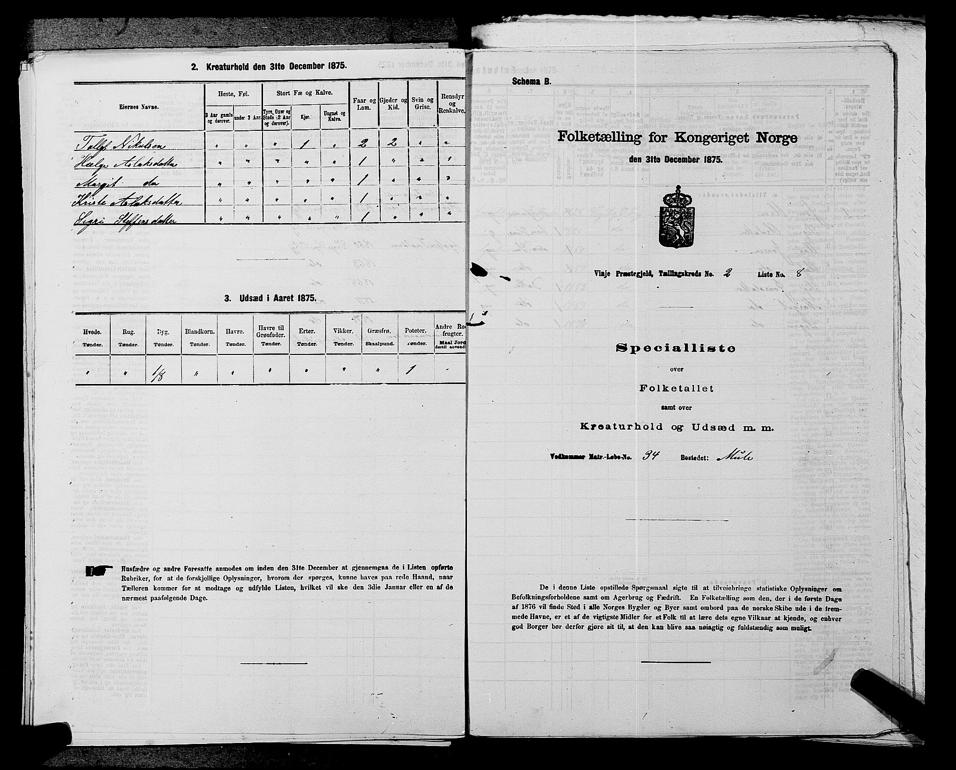 SAKO, 1875 census for 0834P Vinje, 1875, p. 213