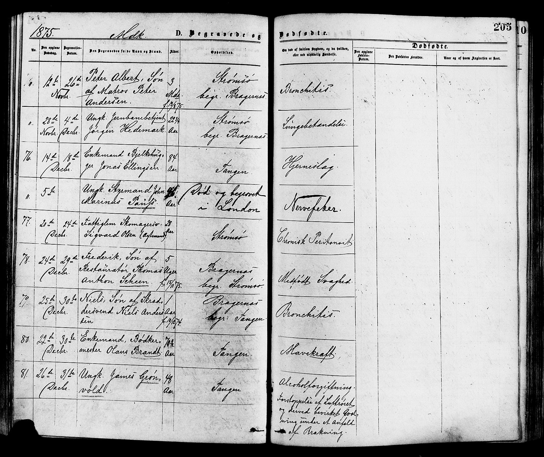Strømsø kirkebøker, SAKO/A-246/F/Fa/L0019: Parish register (official) no. I 19, 1874-1877, p. 205