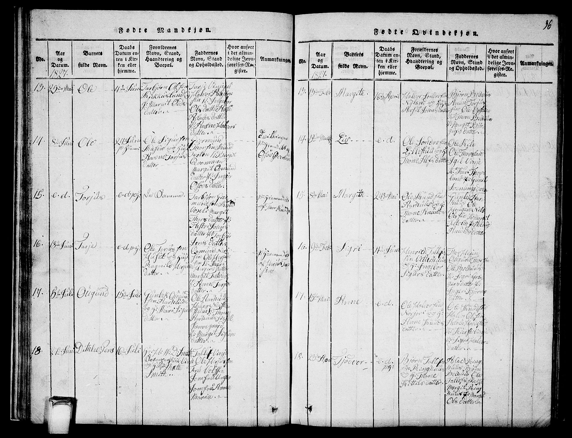 Vinje kirkebøker, SAKO/A-312/G/Ga/L0001: Parish register (copy) no. I 1, 1814-1843, p. 36