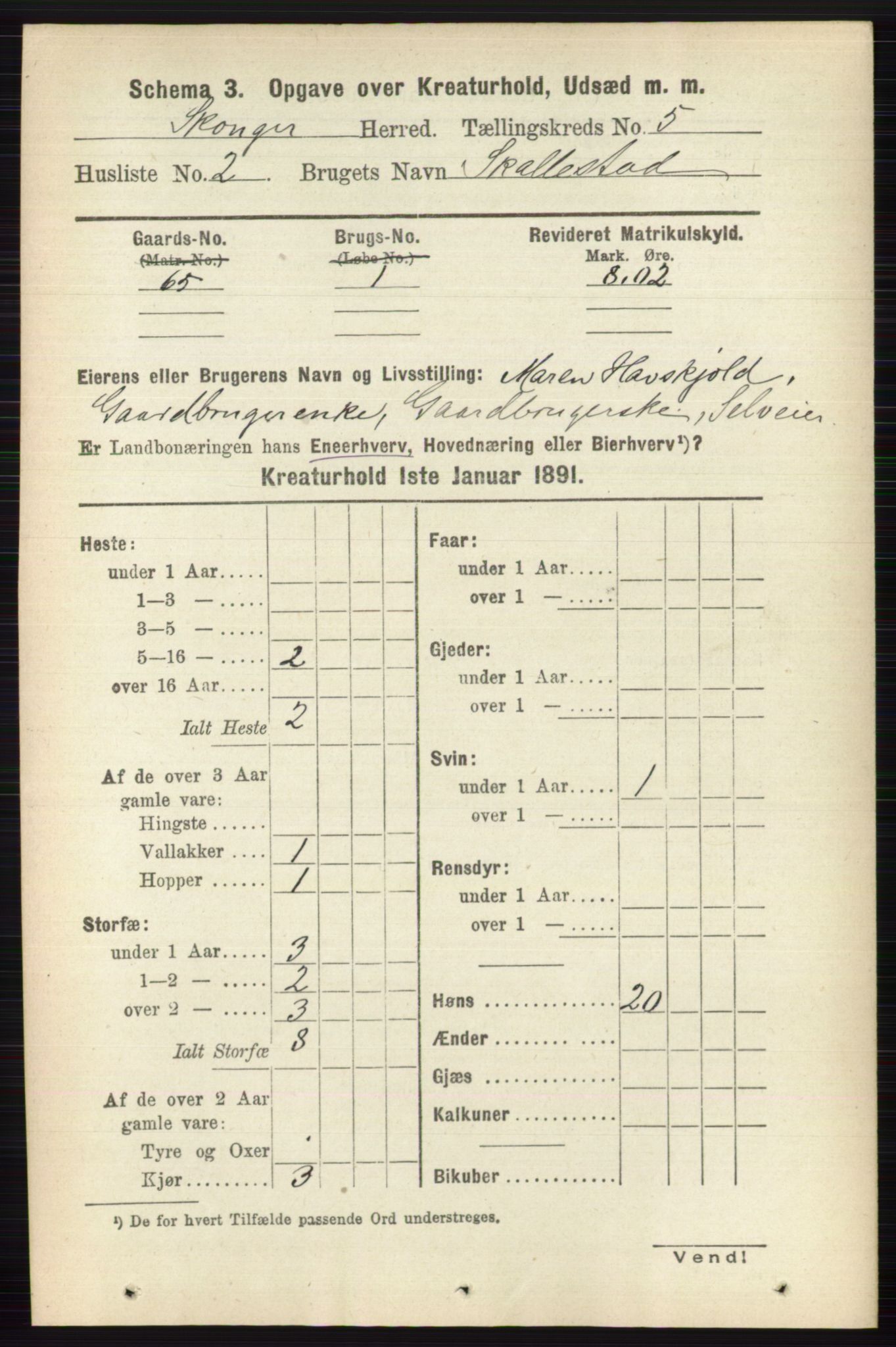 RA, 1891 census for 0712 Skoger, 1891, p. 4989