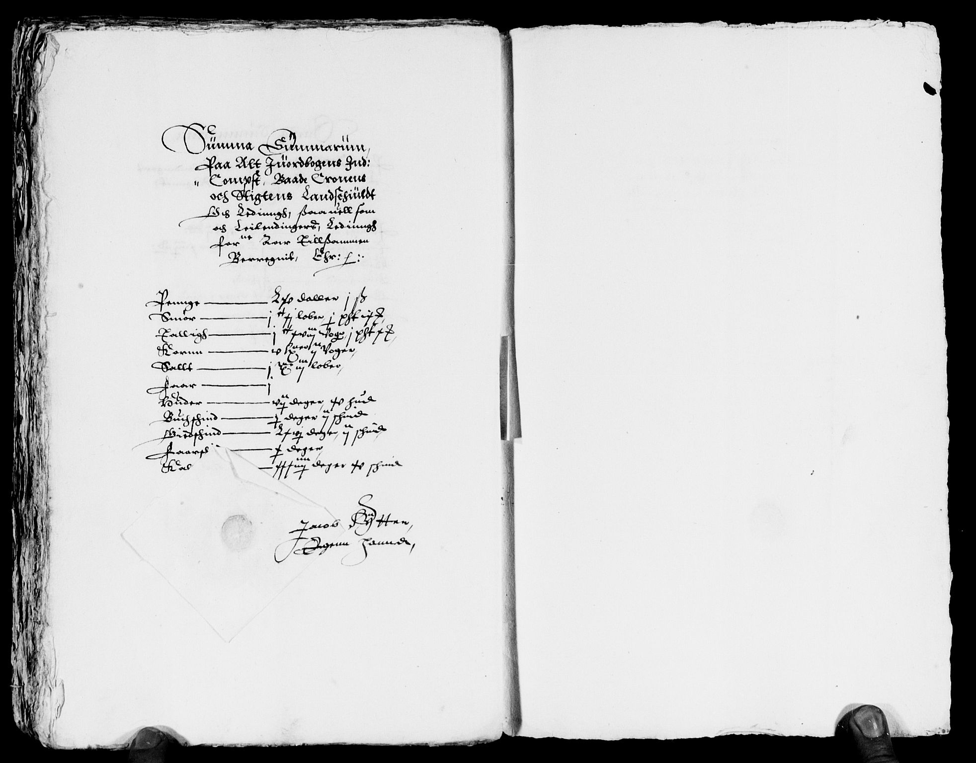 Rentekammeret inntil 1814, Reviderte regnskaper, Lensregnskaper, AV/RA-EA-5023/R/Rb/Rbt/L0030: Bergenhus len, 1620-1621