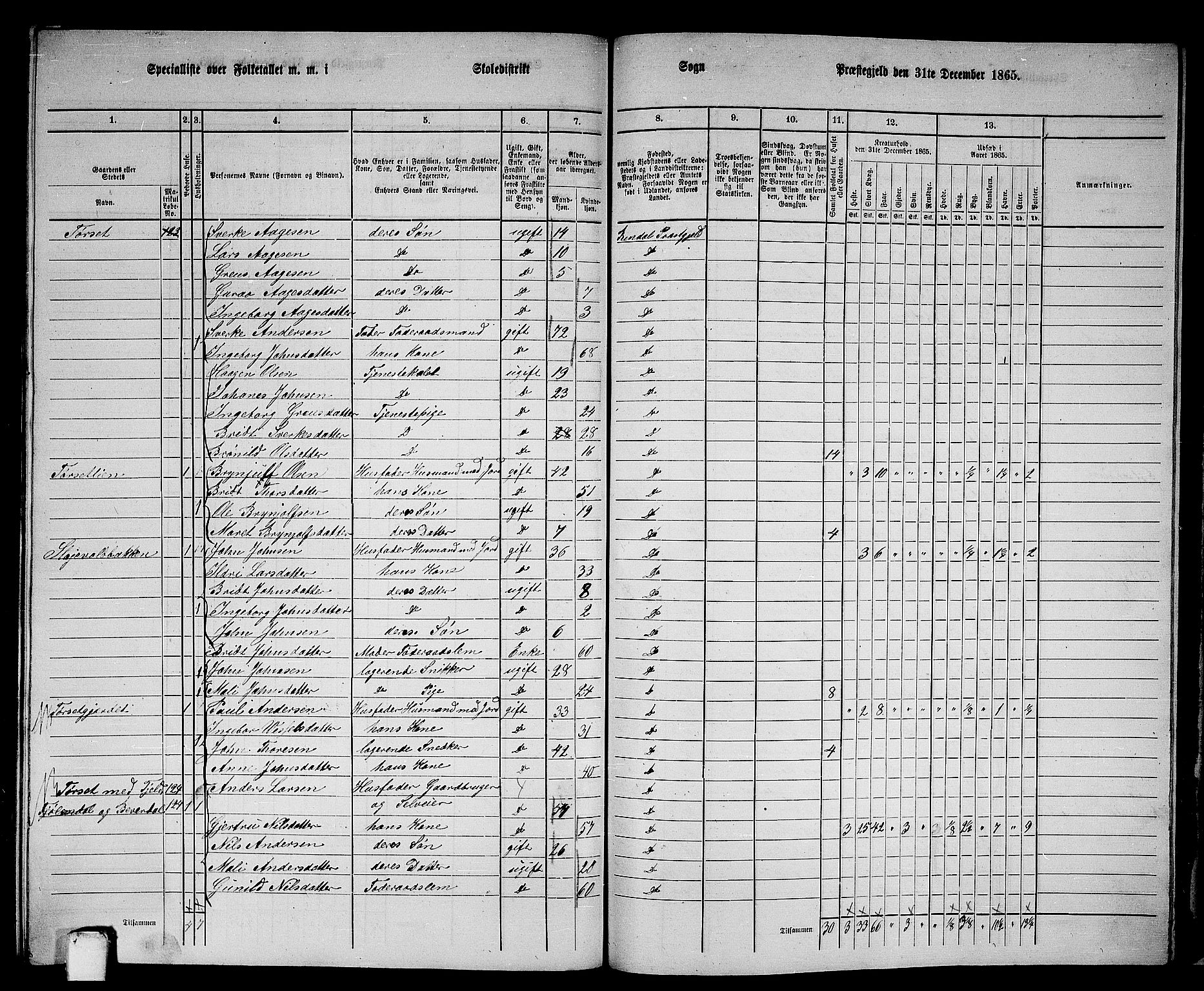 RA, 1865 census for Rindal, 1865, p. 94