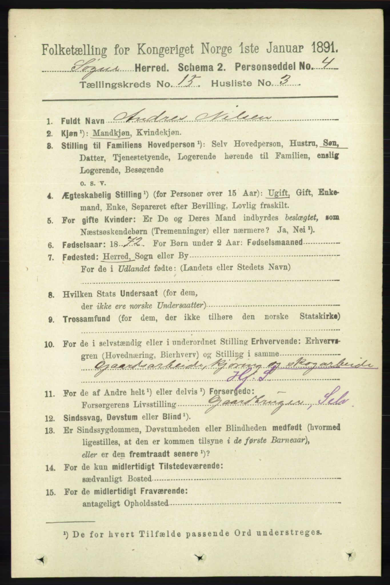 RA, 1891 census for 1018 Søgne, 1891, p. 3908