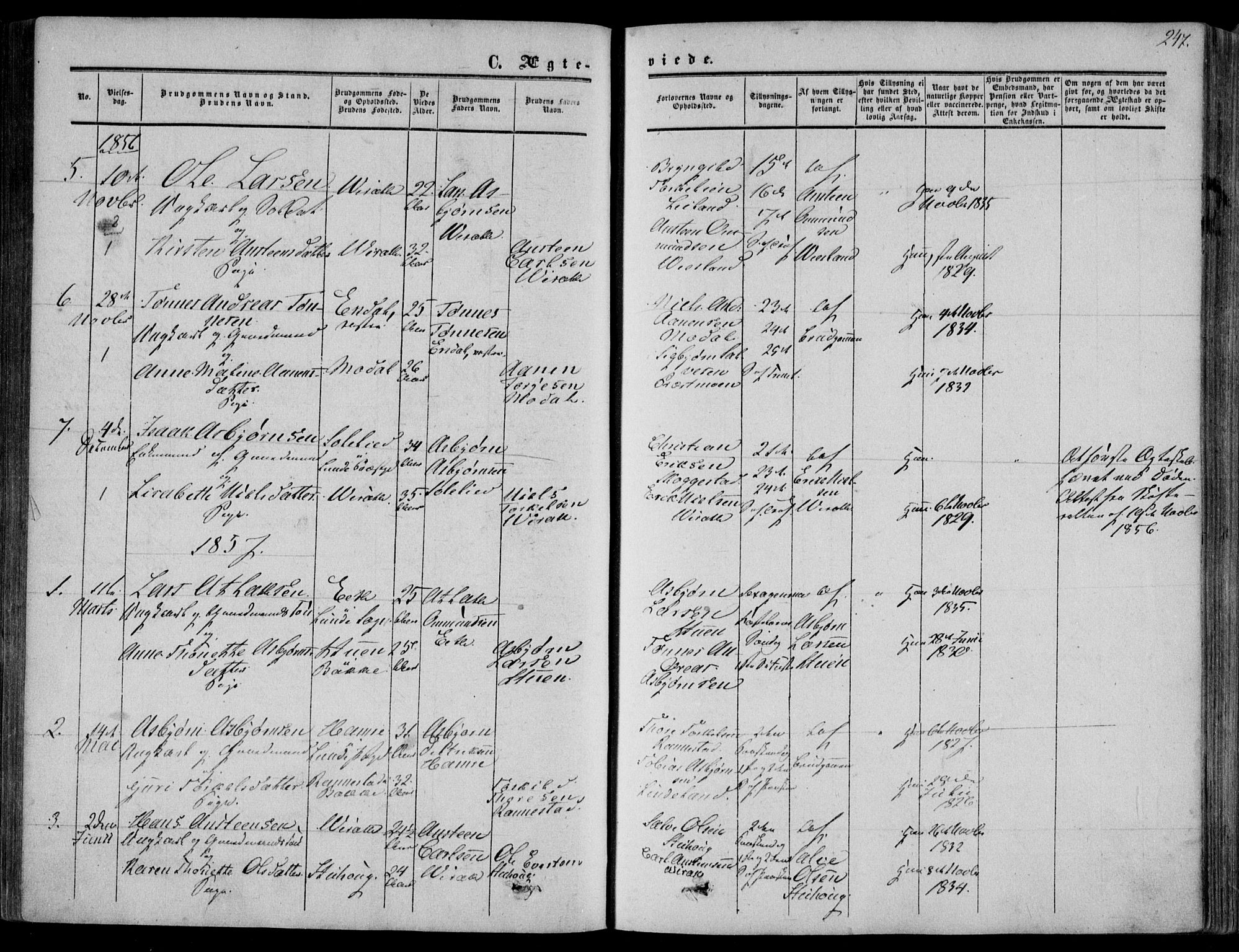 Bakke sokneprestkontor, AV/SAK-1111-0002/F/Fa/Faa/L0006: Parish register (official) no. A 6, 1855-1877, p. 247