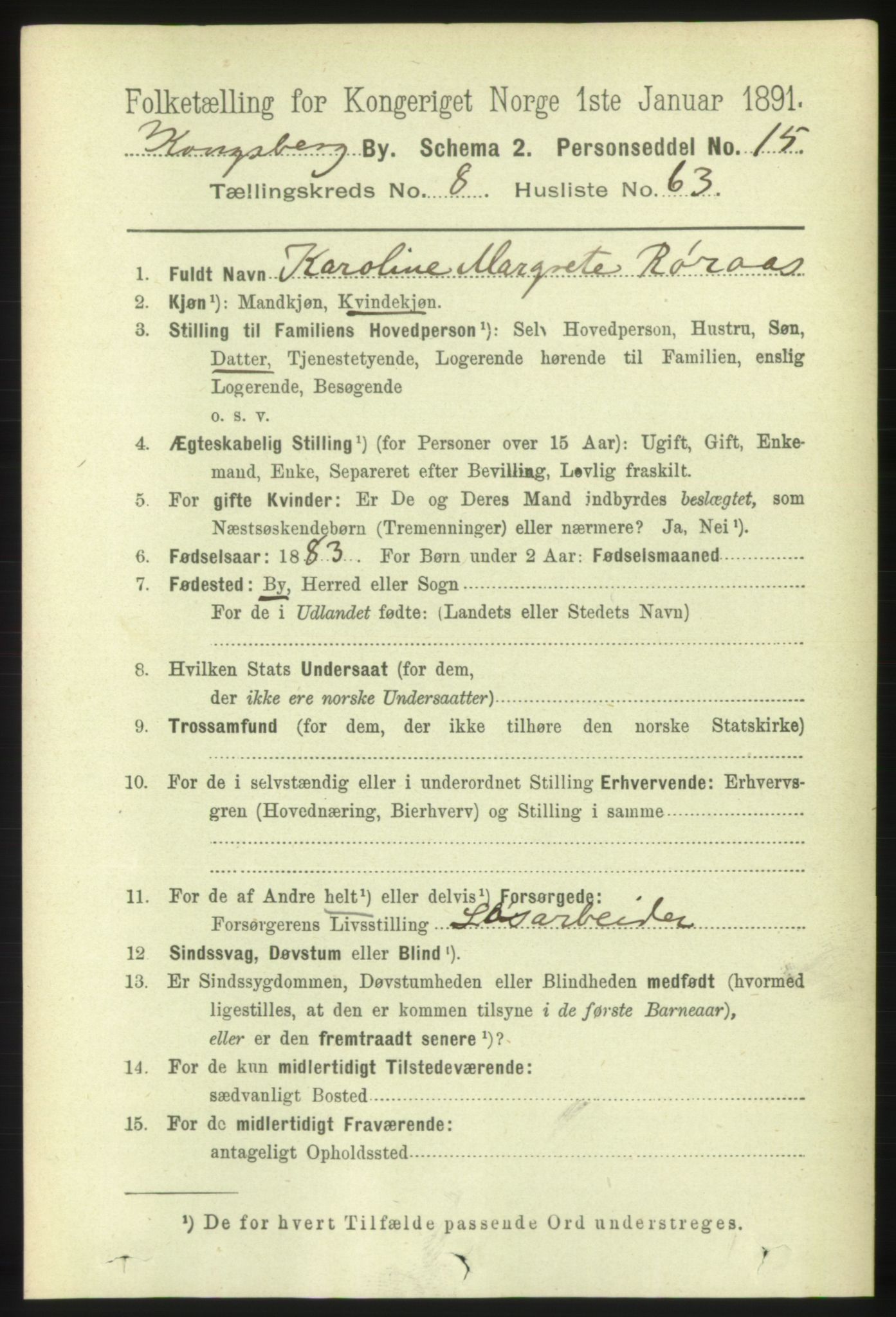 RA, 1891 census for 0604 Kongsberg, 1891, p. 6039