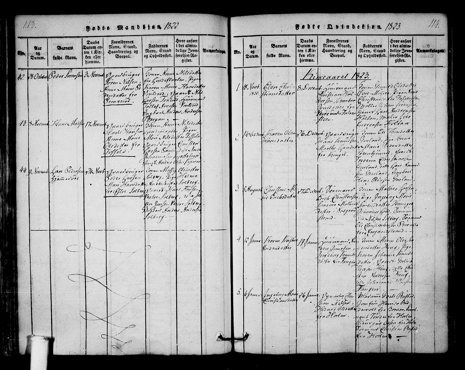 Borre kirkebøker, AV/SAKO-A-338/F/Fa/L0004: Parish register (official) no. I 4, 1815-1845, p. 113-114