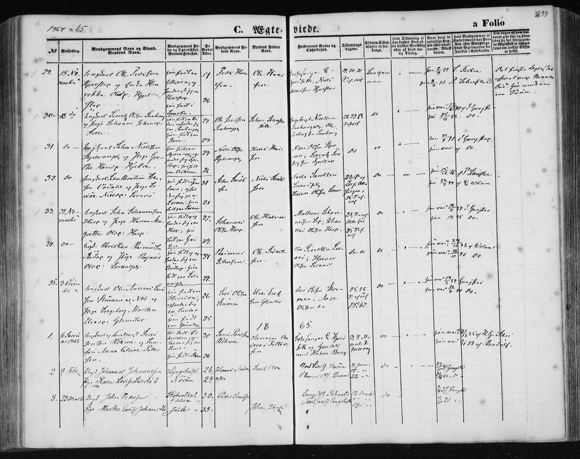 Ministerialprotokoller, klokkerbøker og fødselsregistre - Nord-Trøndelag, SAT/A-1458/730/L0283: Parish register (official) no. 730A08, 1855-1865, p. 294