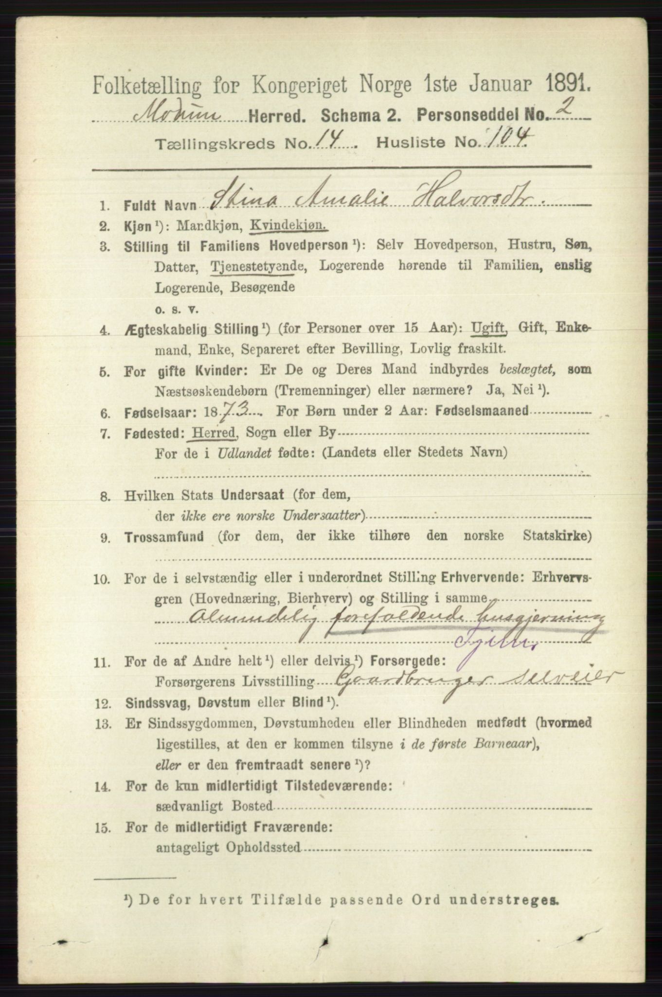 RA, 1891 census for 0623 Modum, 1891, p. 6101