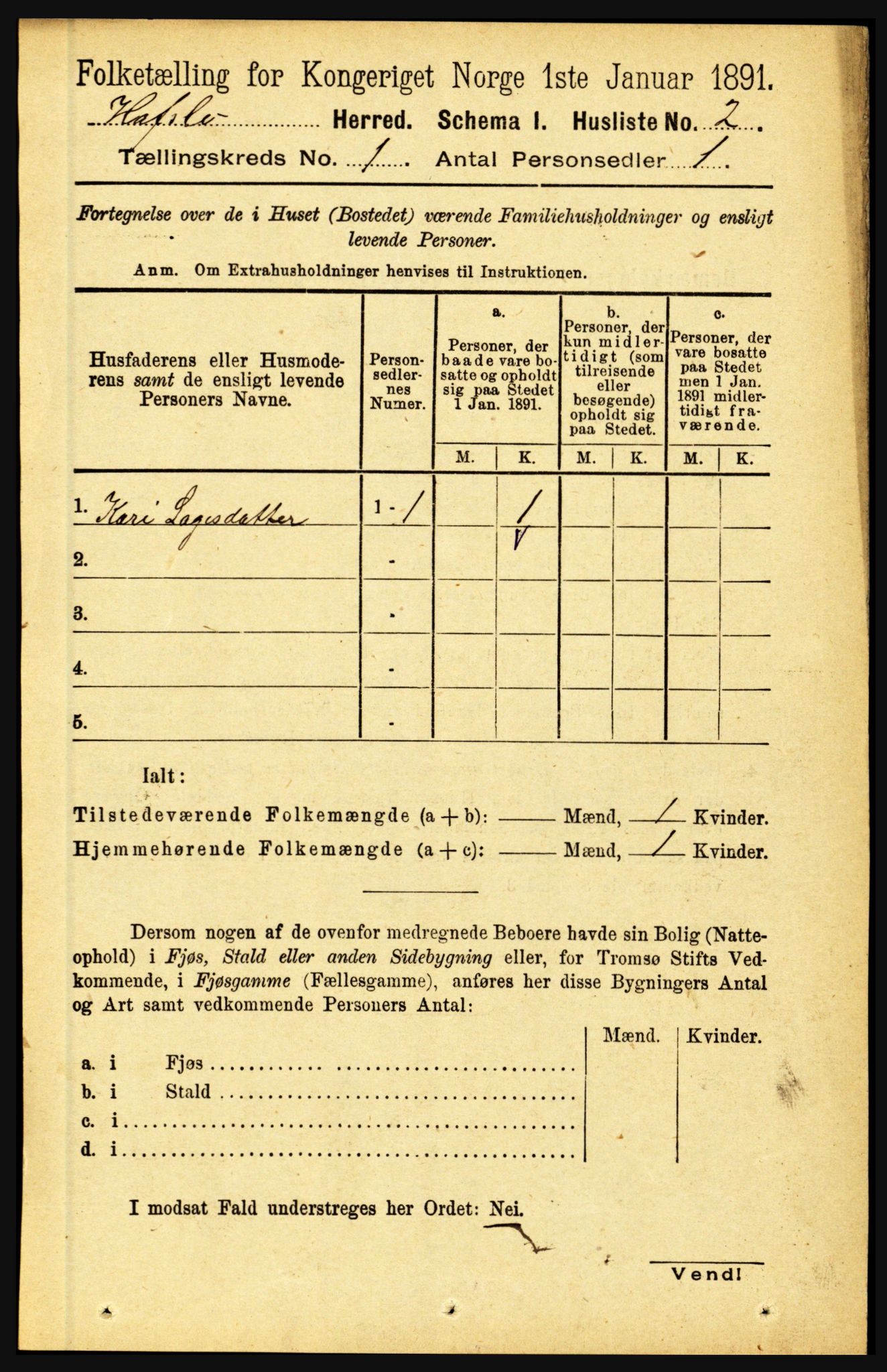 RA, 1891 census for 1425 Hafslo, 1891, p. 31