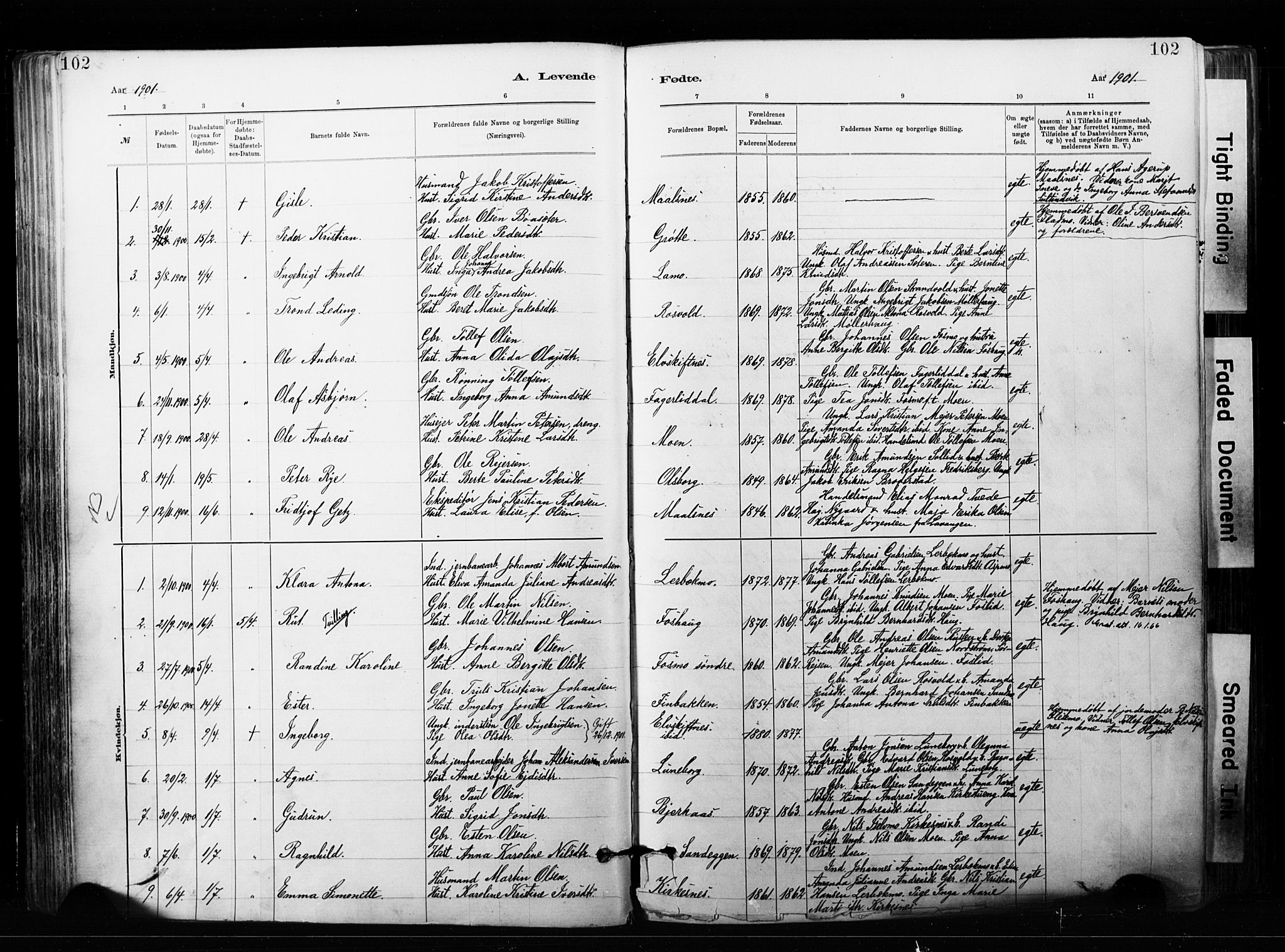 Målselv sokneprestembete, SATØ/S-1311/G/Ga/Gaa/L0007kirke: Parish register (official) no. 7, 1884-1903, p. 102