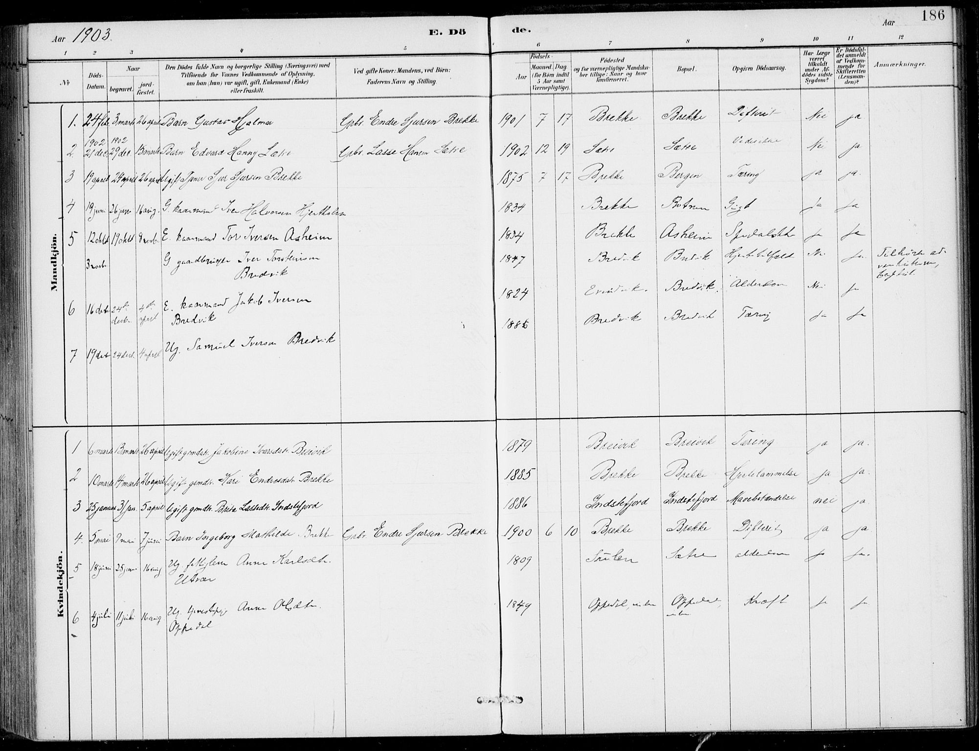 Gulen sokneprestembete, AV/SAB-A-80201/H/Haa/Haac/L0002: Parish register (official) no. C  2, 1882-1914, p. 186