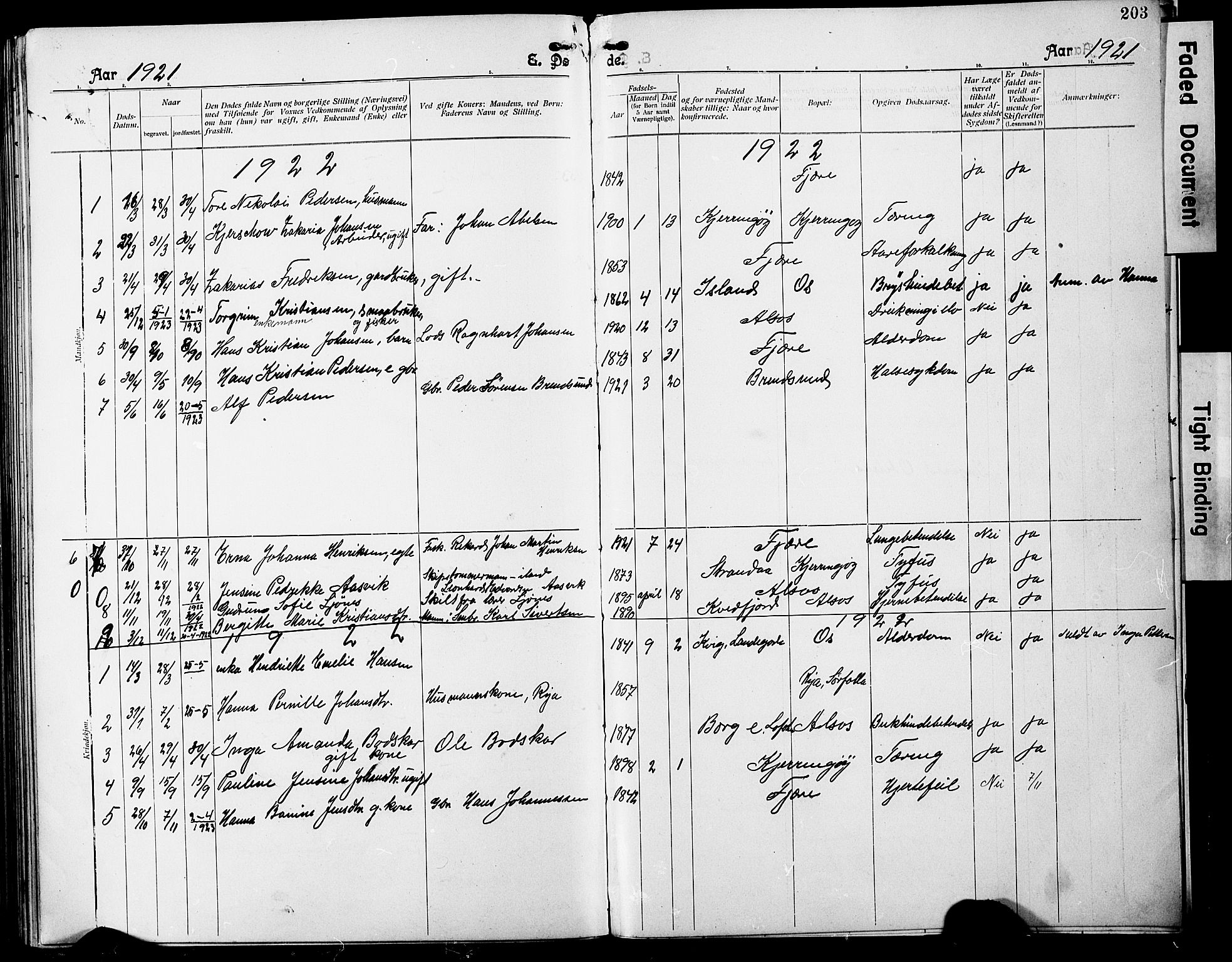 Ministerialprotokoller, klokkerbøker og fødselsregistre - Nordland, SAT/A-1459/803/L0077: Parish register (copy) no. 803C04, 1897-1930, p. 203