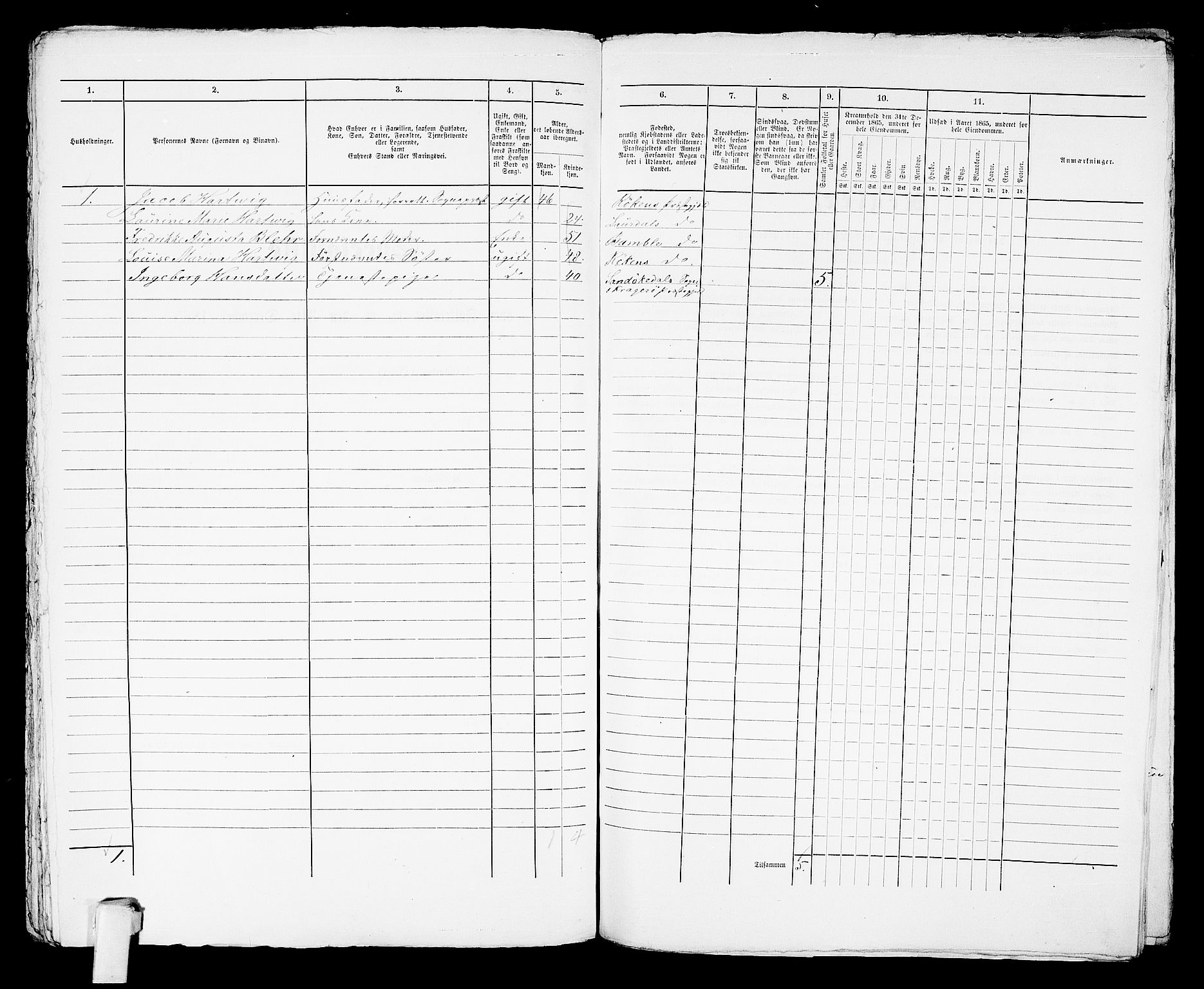 RA, 1865 census for Kragerø/Kragerø, 1865, p. 1007