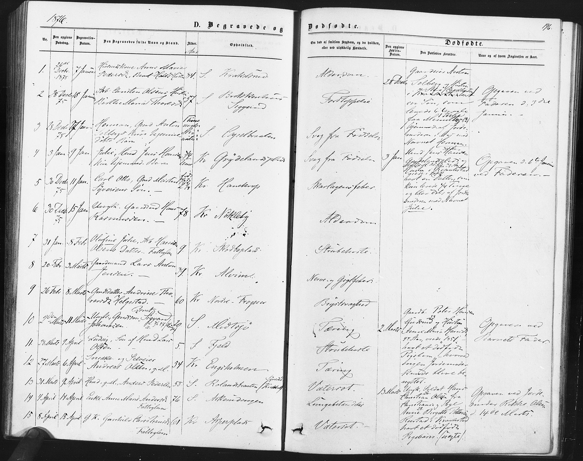 Kråkstad prestekontor Kirkebøker, SAO/A-10125a/F/Fa/L0008: Parish register (official) no. I 8, 1870-1879, p. 196