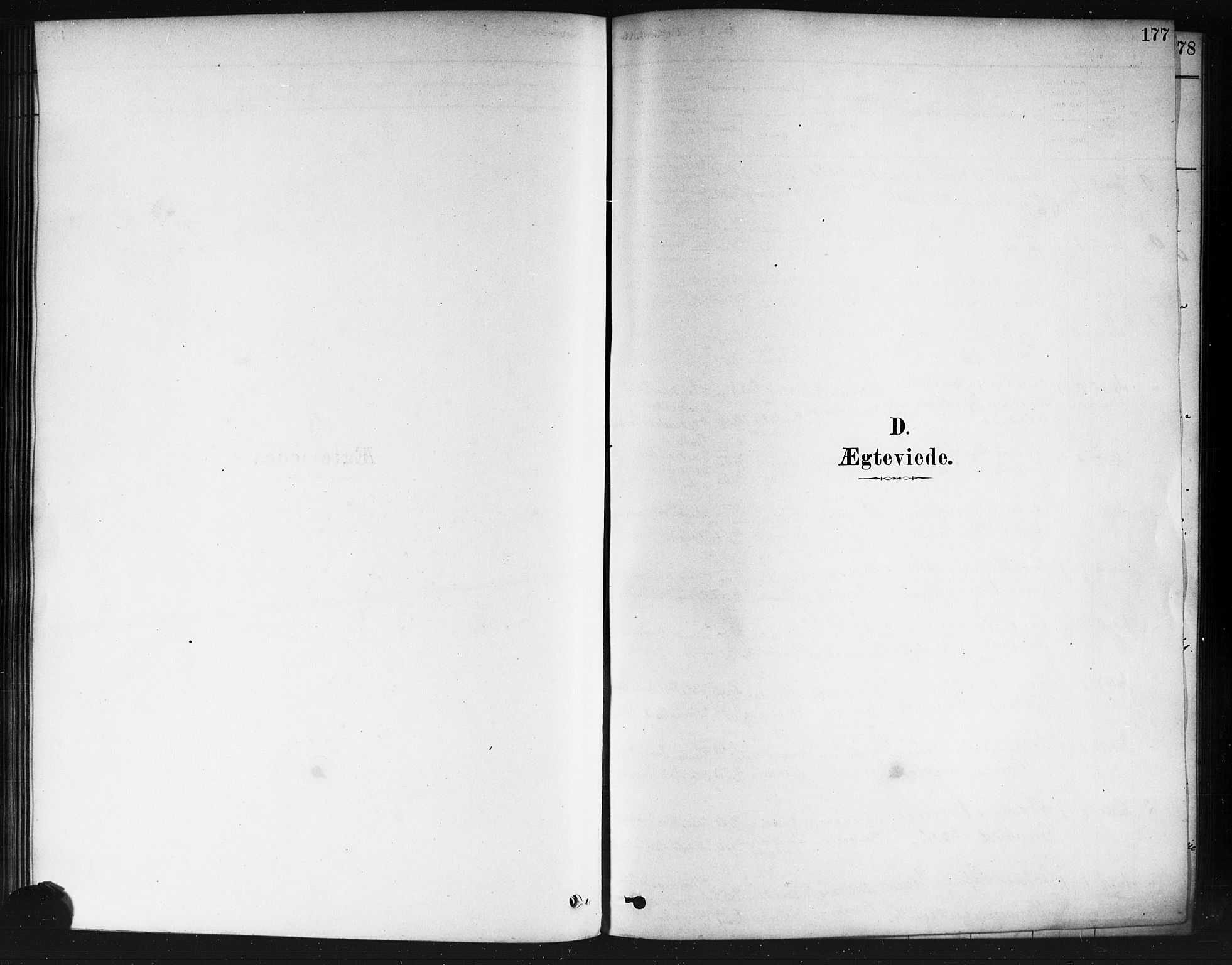 Nedre Eiker kirkebøker, AV/SAKO-A-612/F/Fa/L0002: Parish register (official) no. 2, 1878-1885, p. 177