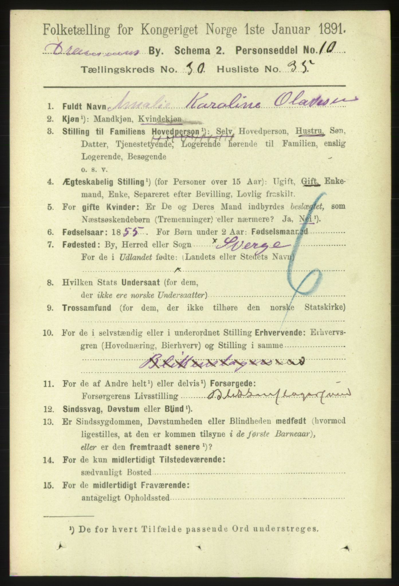 RA, 1891 census for 0602 Drammen, 1891, p. 18559