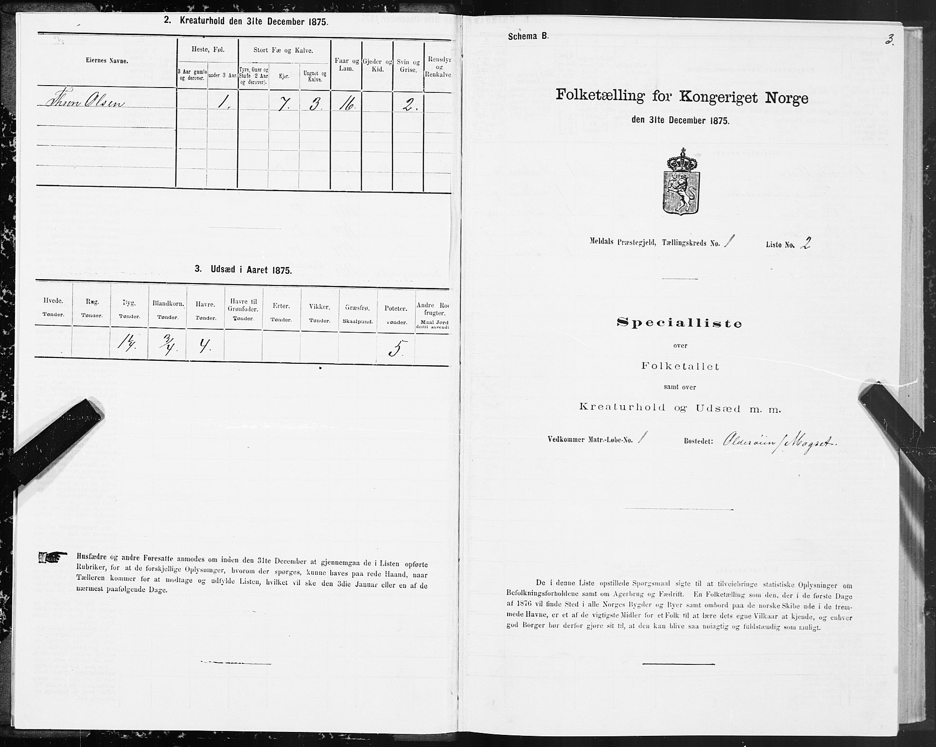 SAT, 1875 census for 1636P Meldal, 1875, p. 1003