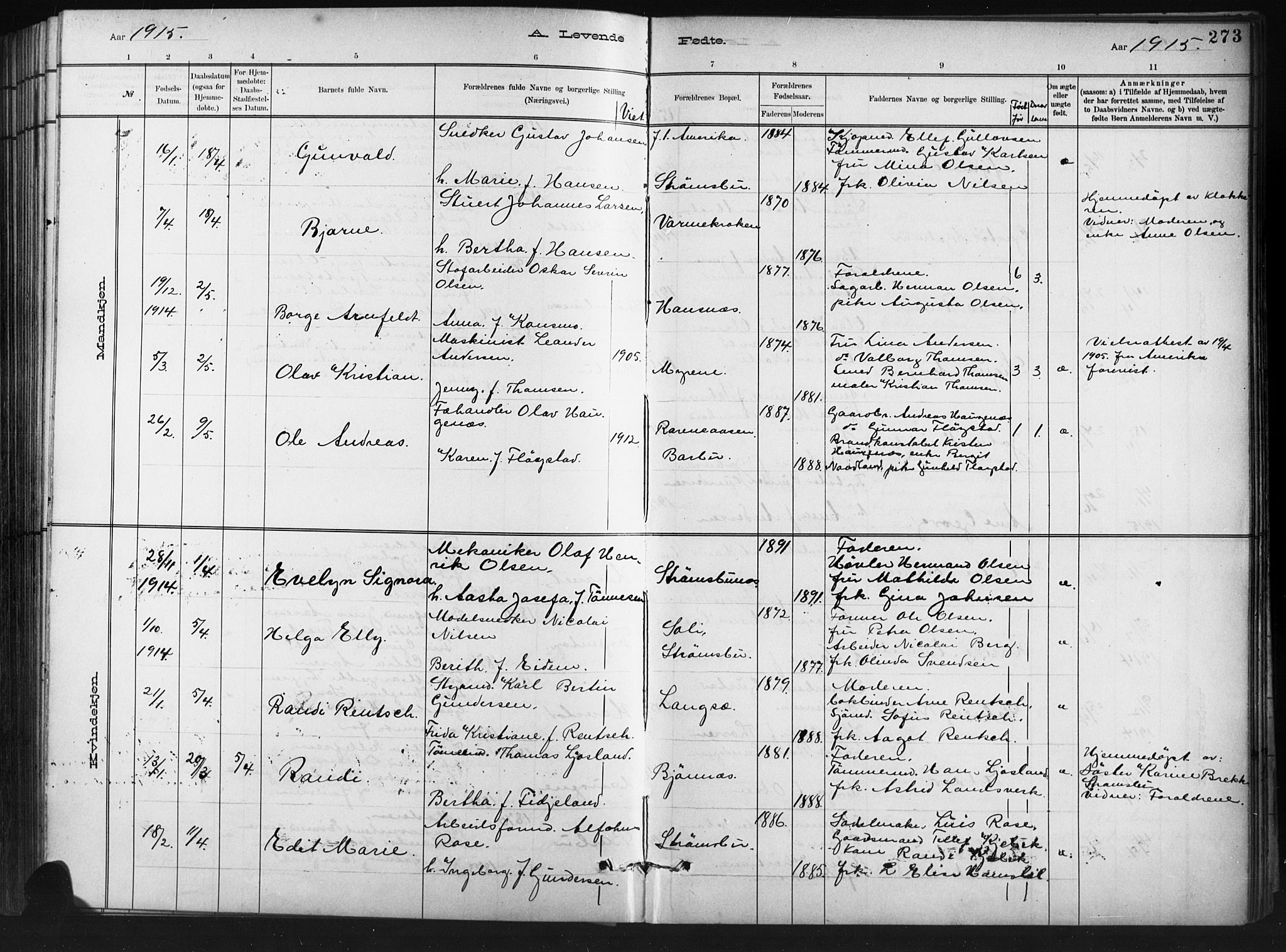 Barbu sokneprestkontor, AV/SAK-1111-0003/F/Fb/L0002: Parish register (copy) no. B 2, 1890-1922, p. 273