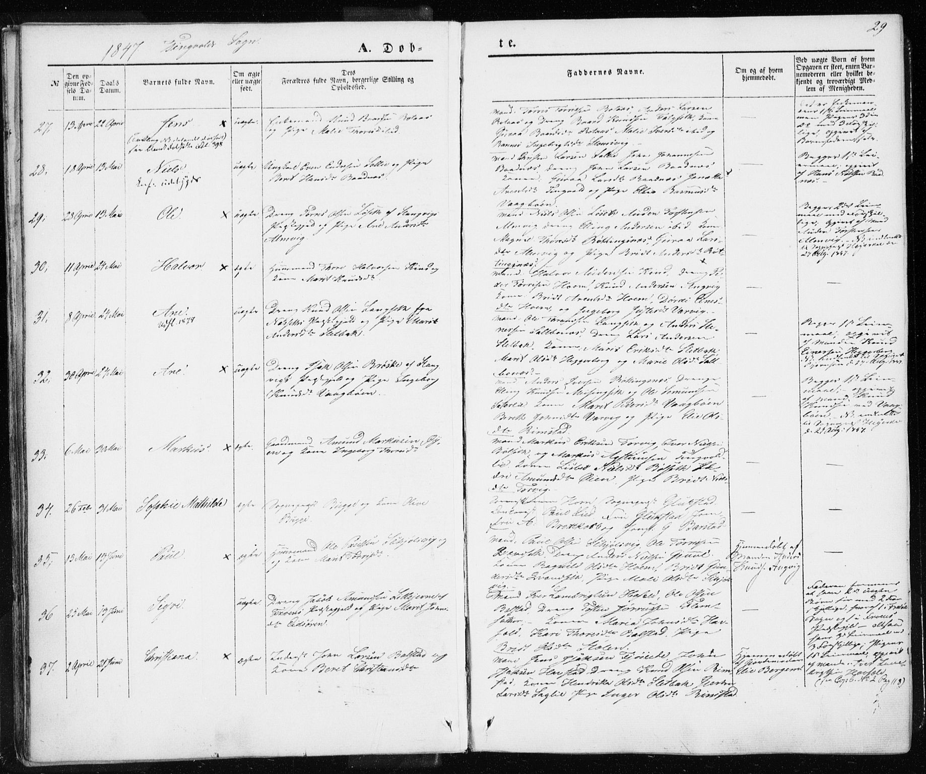 Ministerialprotokoller, klokkerbøker og fødselsregistre - Møre og Romsdal, AV/SAT-A-1454/586/L0984: Parish register (official) no. 586A10, 1844-1856, p. 29