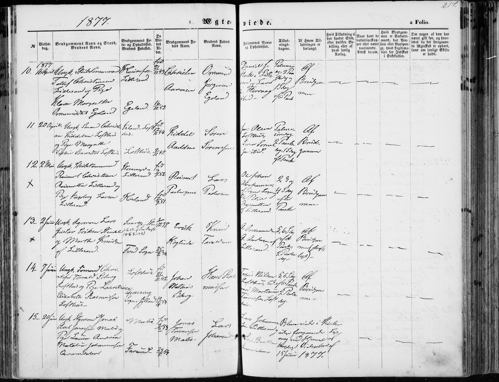 Vestre Moland sokneprestkontor, AV/SAK-1111-0046/F/Fa/Fab/L0008: Parish register (official) no. A 8, 1873-1883, p. 217