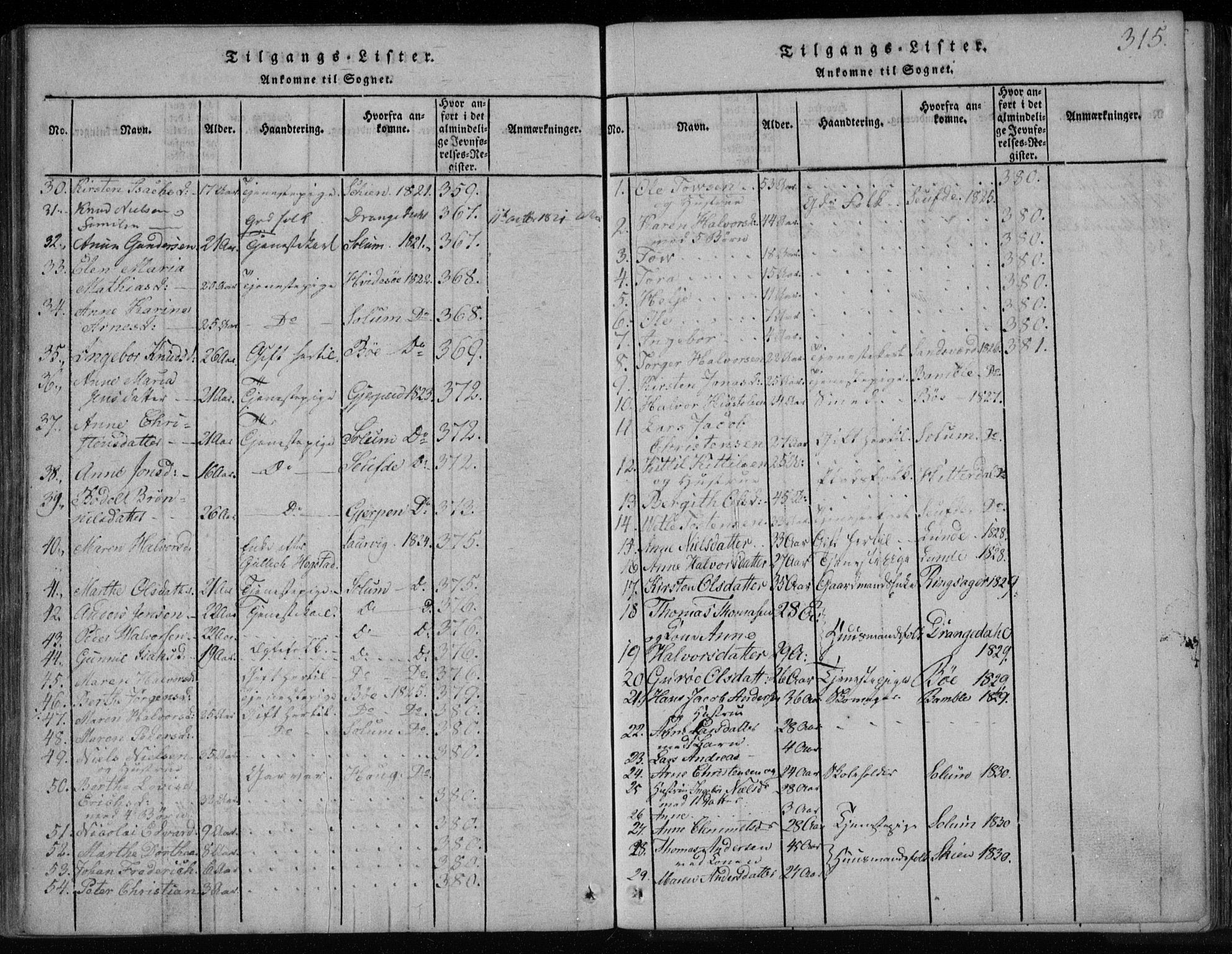 Holla kirkebøker, SAKO/A-272/F/Fa/L0003: Parish register (official) no. 3, 1815-1830, p. 315