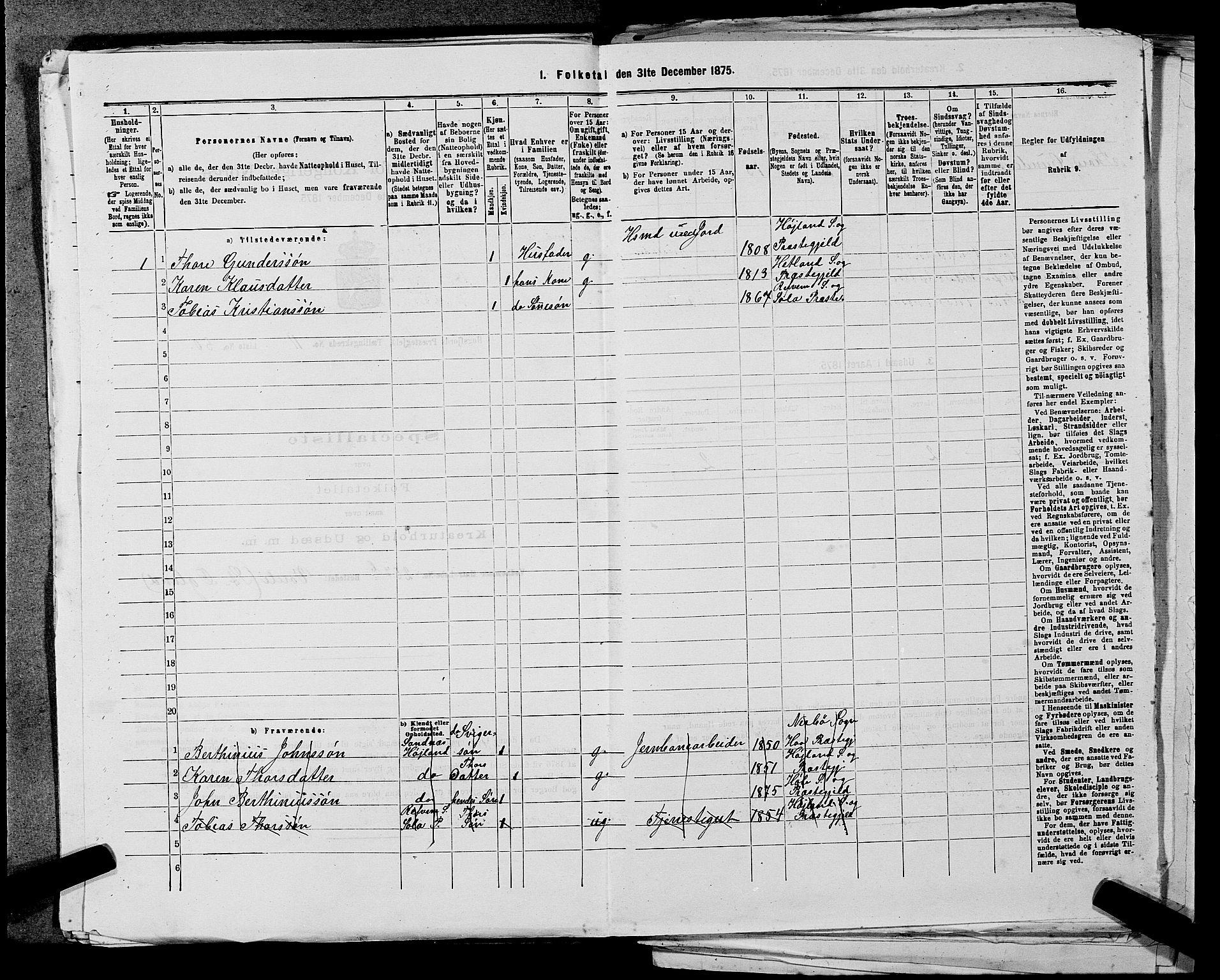 SAST, 1875 census for 1128P Høgsfjord, 1875, p. 996