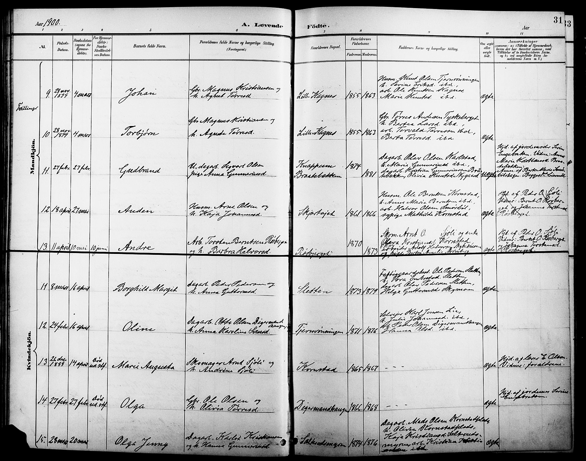 Åsnes prestekontor, AV/SAH-PREST-042/H/Ha/Hab/L0005: Parish register (copy) no. 5, 1895-1920, p. 31