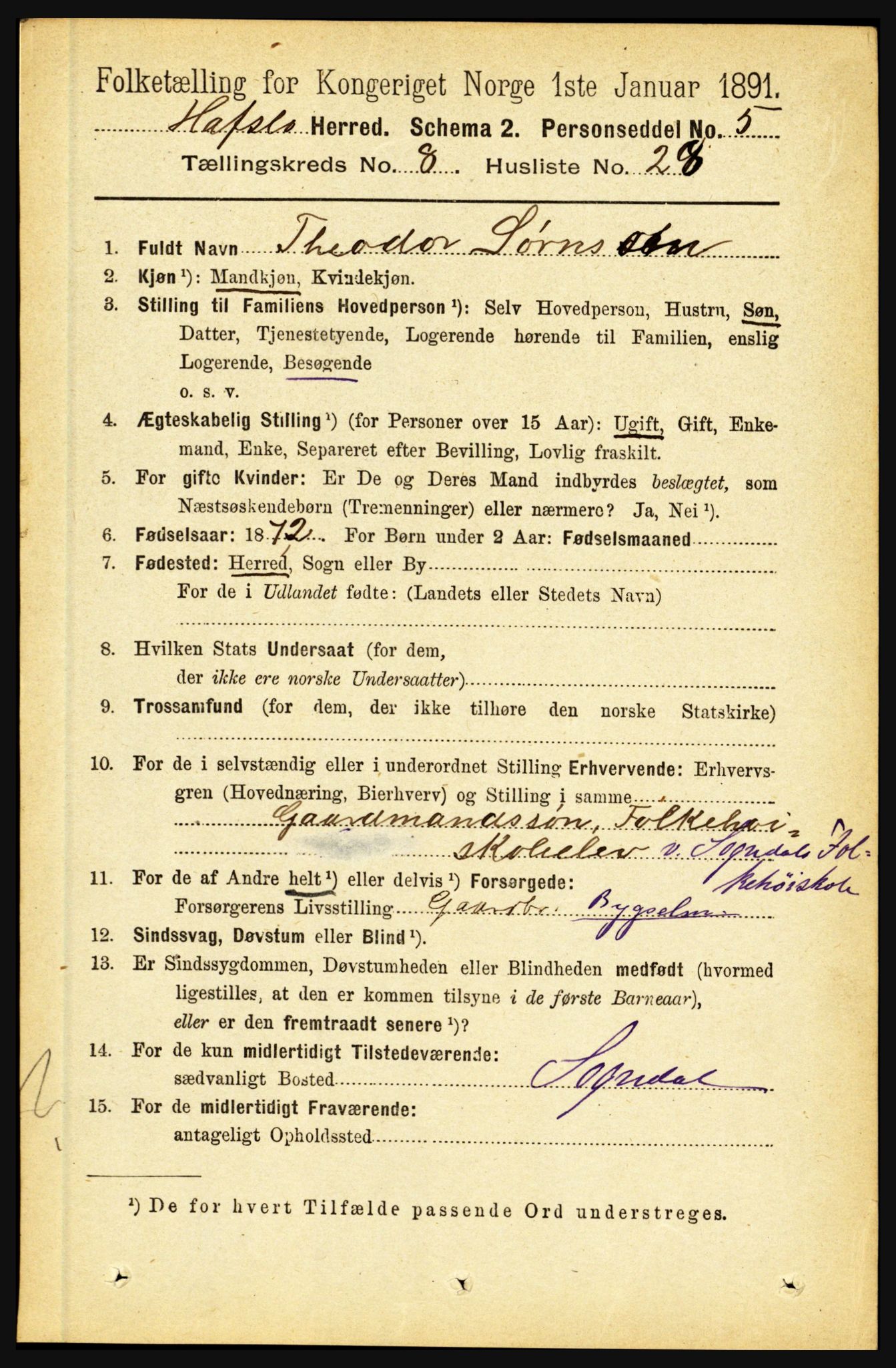 RA, 1891 census for 1425 Hafslo, 1891, p. 3315