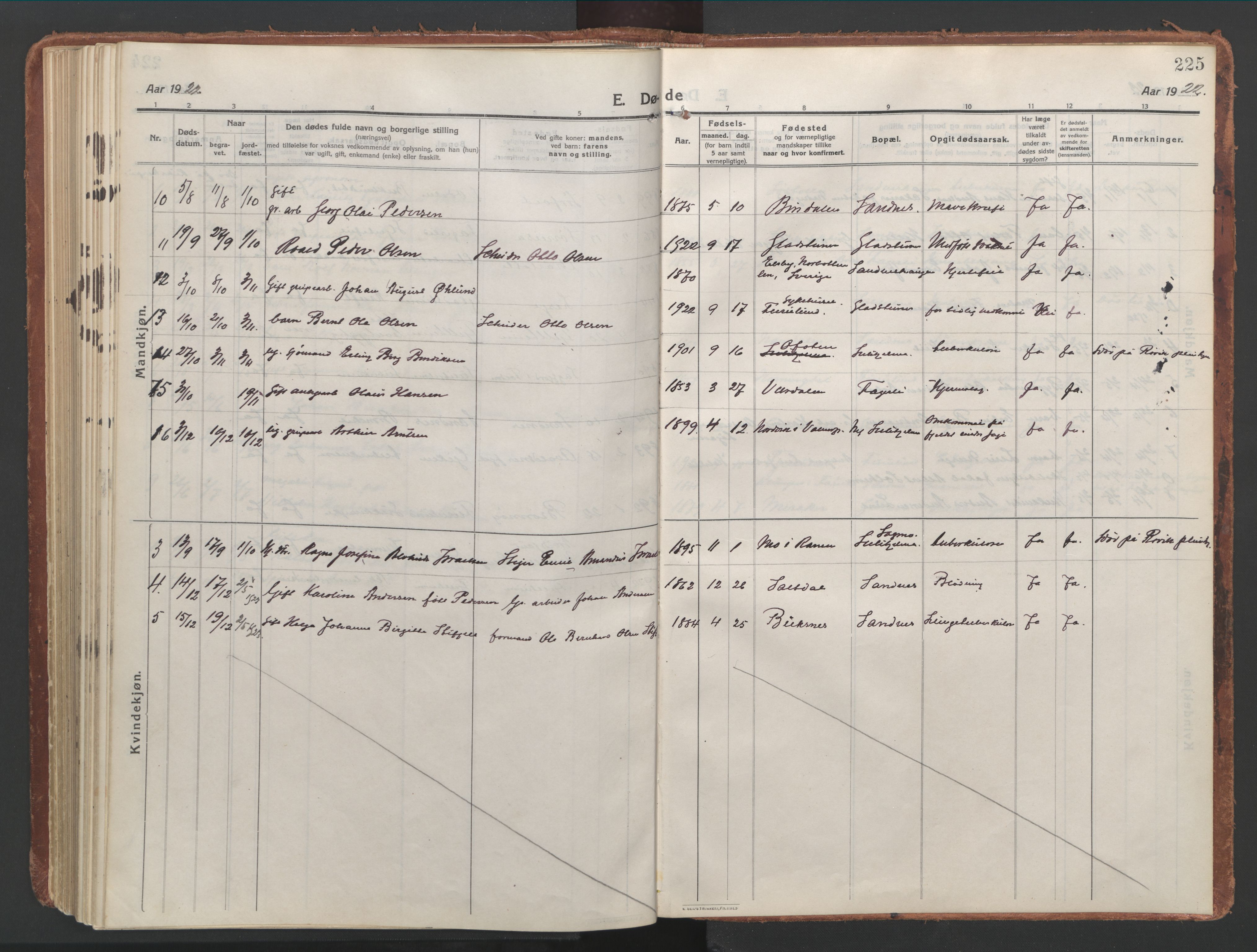 Ministerialprotokoller, klokkerbøker og fødselsregistre - Nordland, AV/SAT-A-1459/850/L0715: Curate's parish register no. 850B05, 1913-1924, p. 225