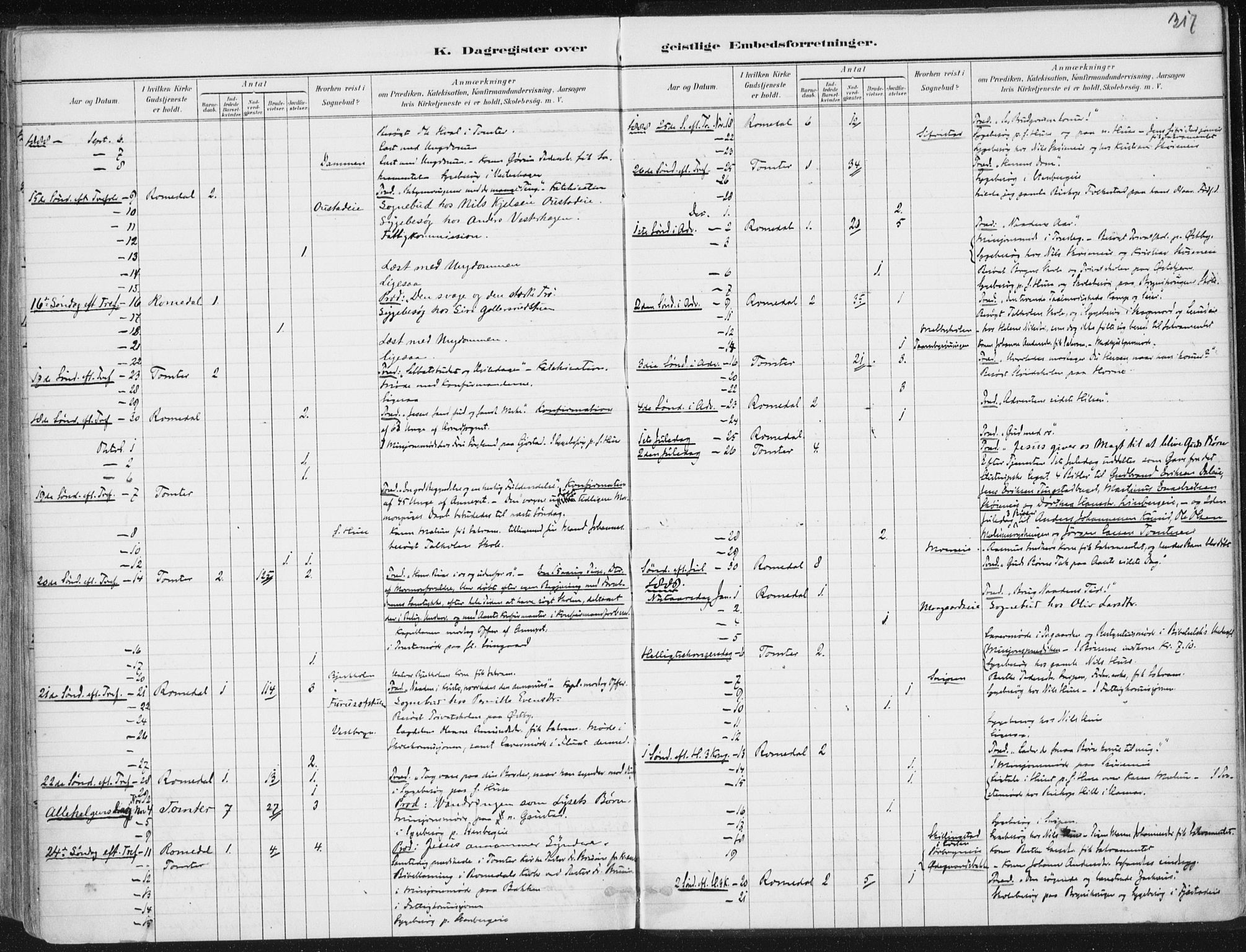 Romedal prestekontor, SAH/PREST-004/K/L0010: Parish register (official) no. 10, 1880-1895, p. 317