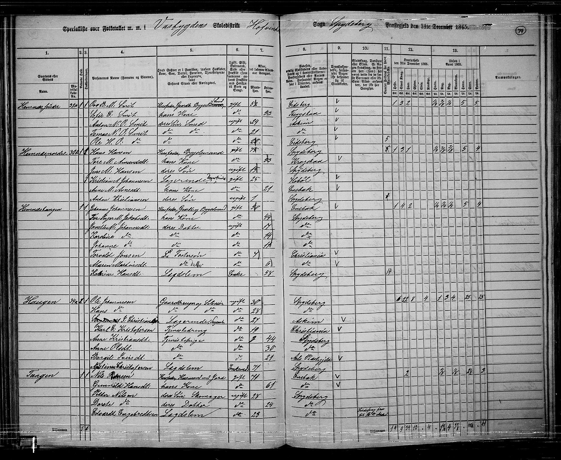 RA, 1865 census for Spydeberg, 1865, p. 70