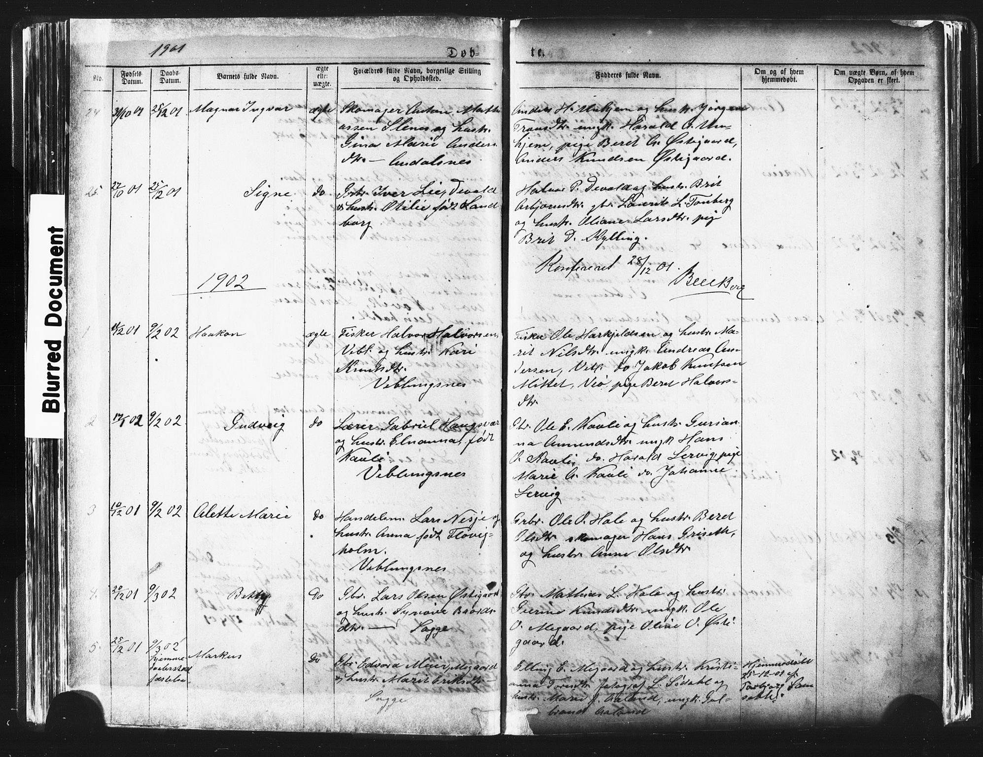 Ministerialprotokoller, klokkerbøker og fødselsregistre - Møre og Romsdal, AV/SAT-A-1454/544/L0580: Parish register (copy) no. 544C02, 1867-1909, p. 123