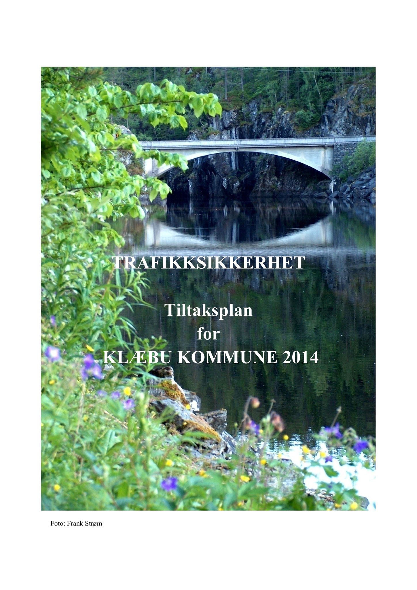 Klæbu Kommune, TRKO/KK/02-FS/L006: Formannsskapet - Møtedokumenter, 2013, p. 1579