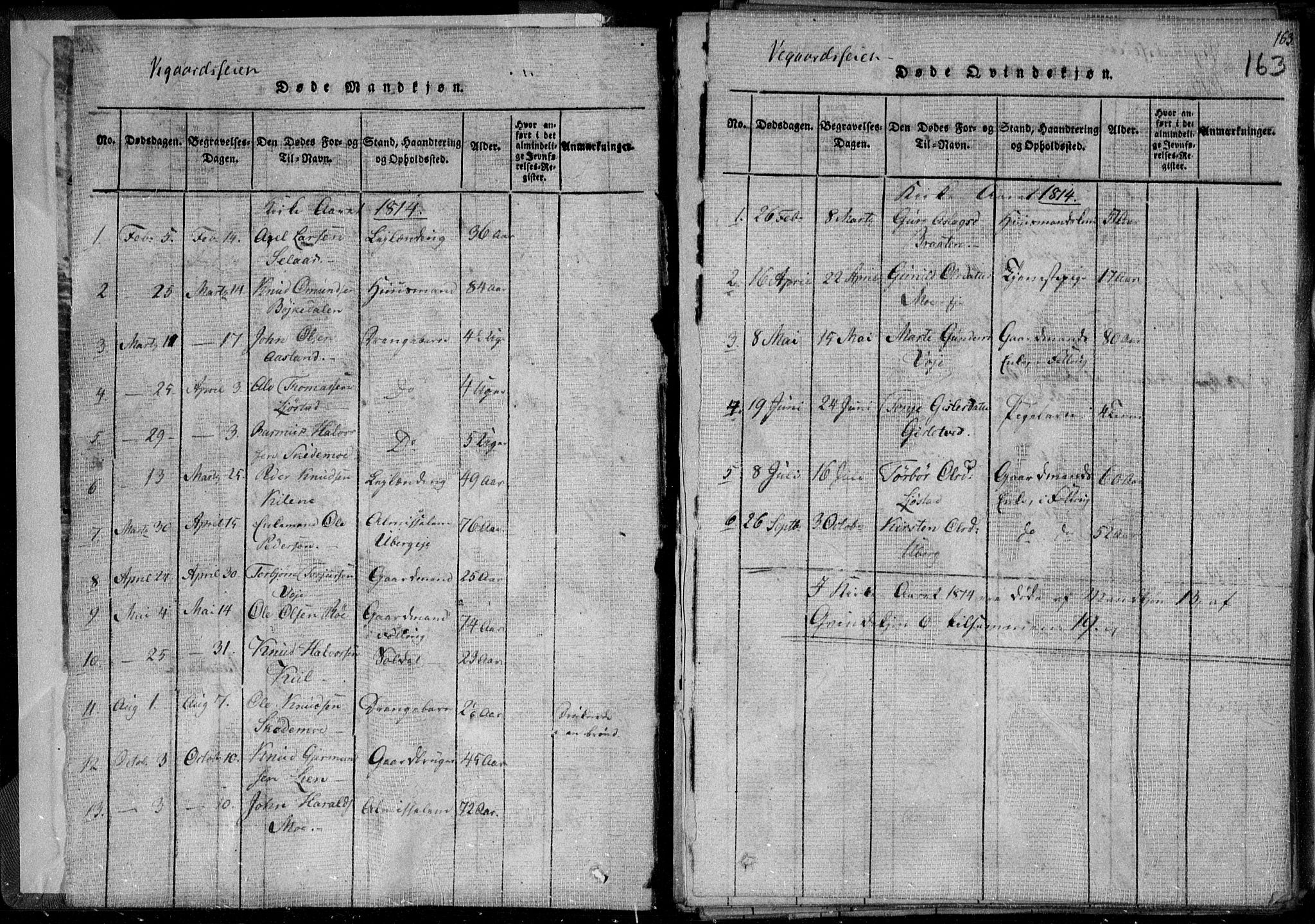 Holt sokneprestkontor, AV/SAK-1111-0021/F/Fa/L0005: Parish register (official) no. A 5, 1813-1821, p. 163