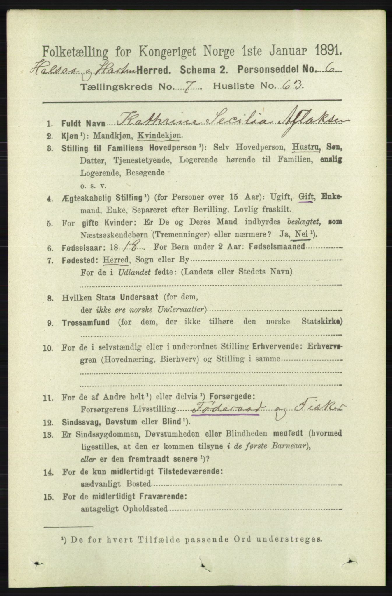 RA, 1891 census for 1019 Halse og Harkmark, 1891, p. 3078