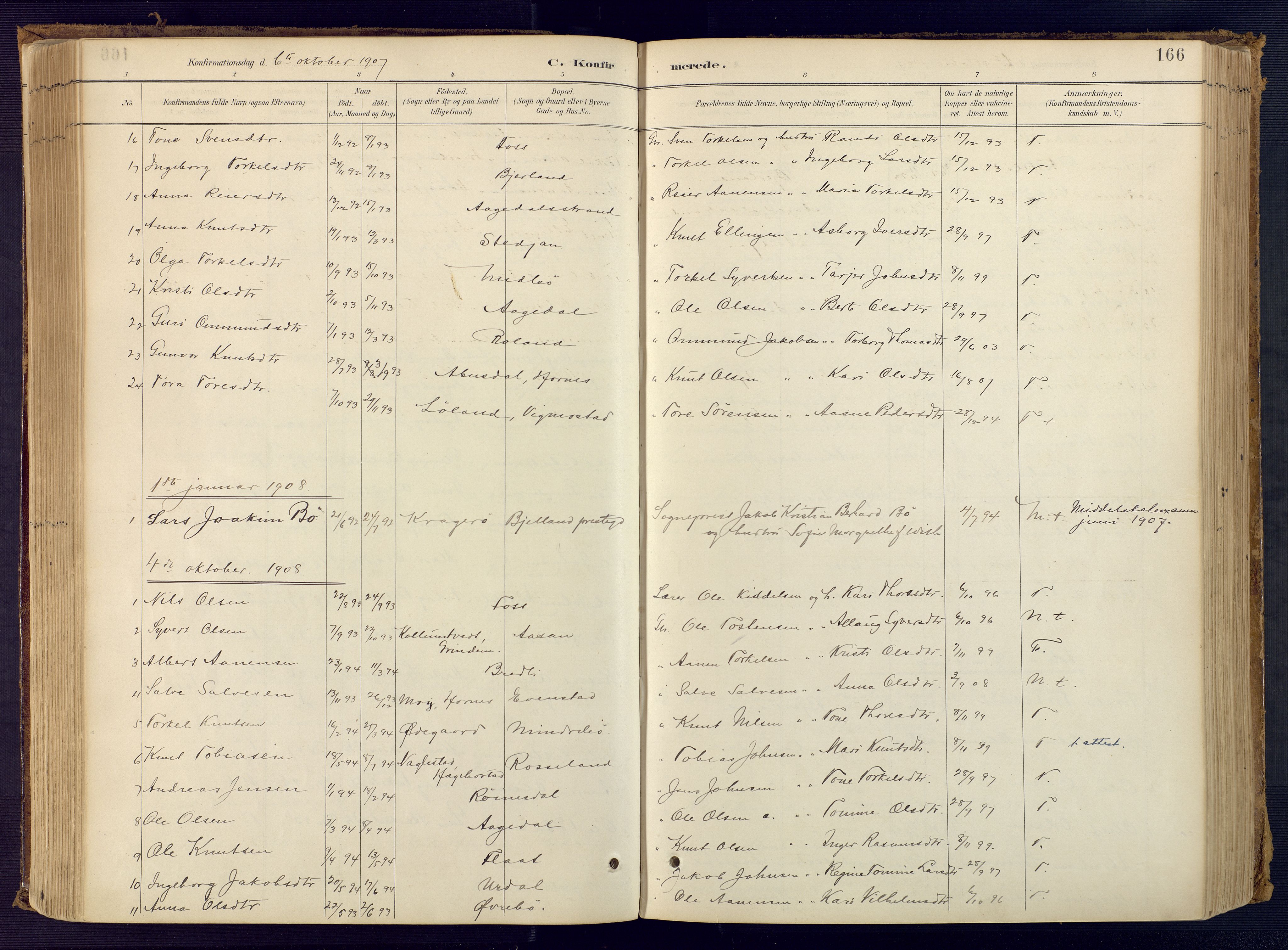 Bjelland sokneprestkontor, SAK/1111-0005/F/Fa/Faa/L0004: Parish register (official) no. A 4, 1887-1923, p. 166