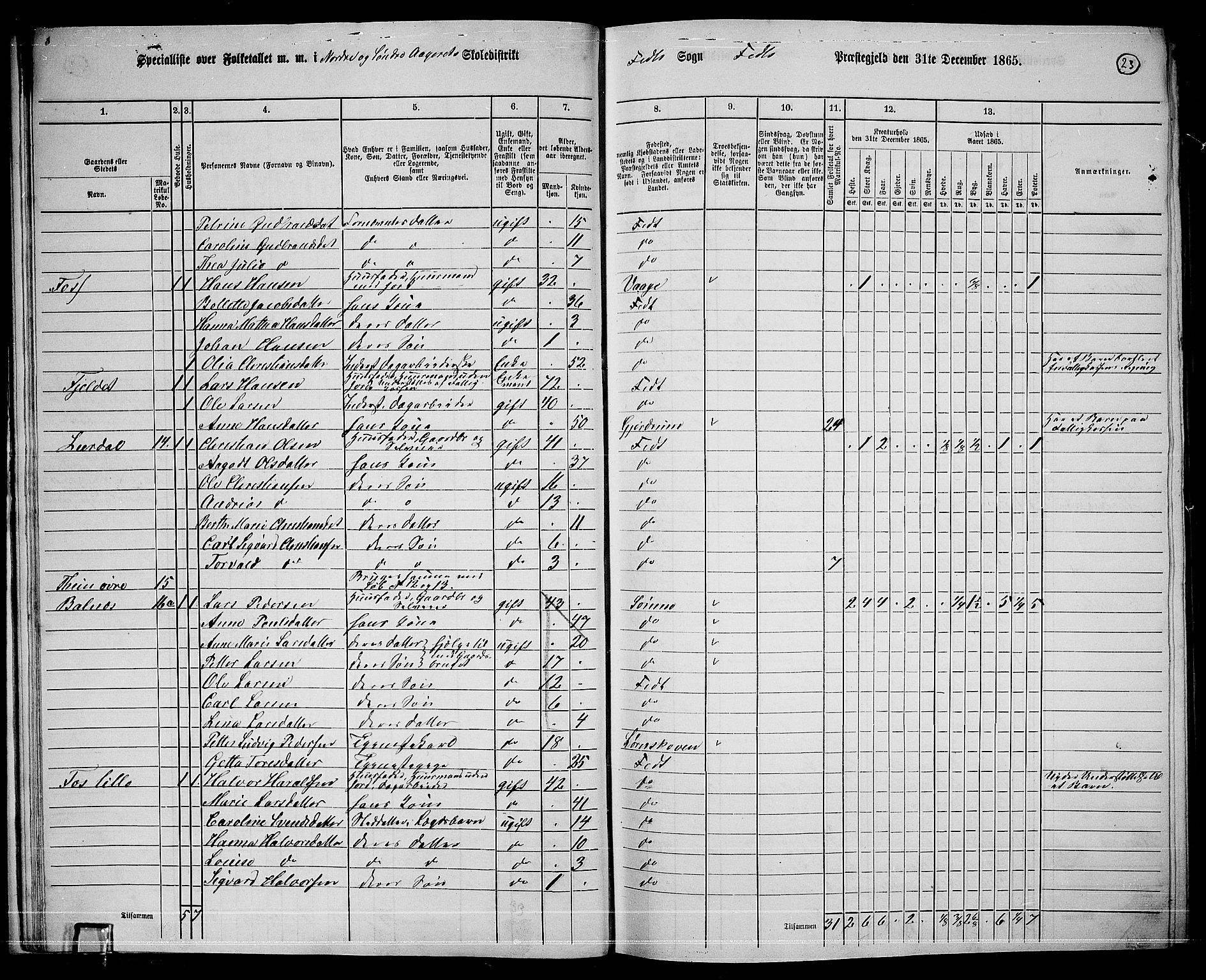 RA, 1865 census for Fet, 1865, p. 20