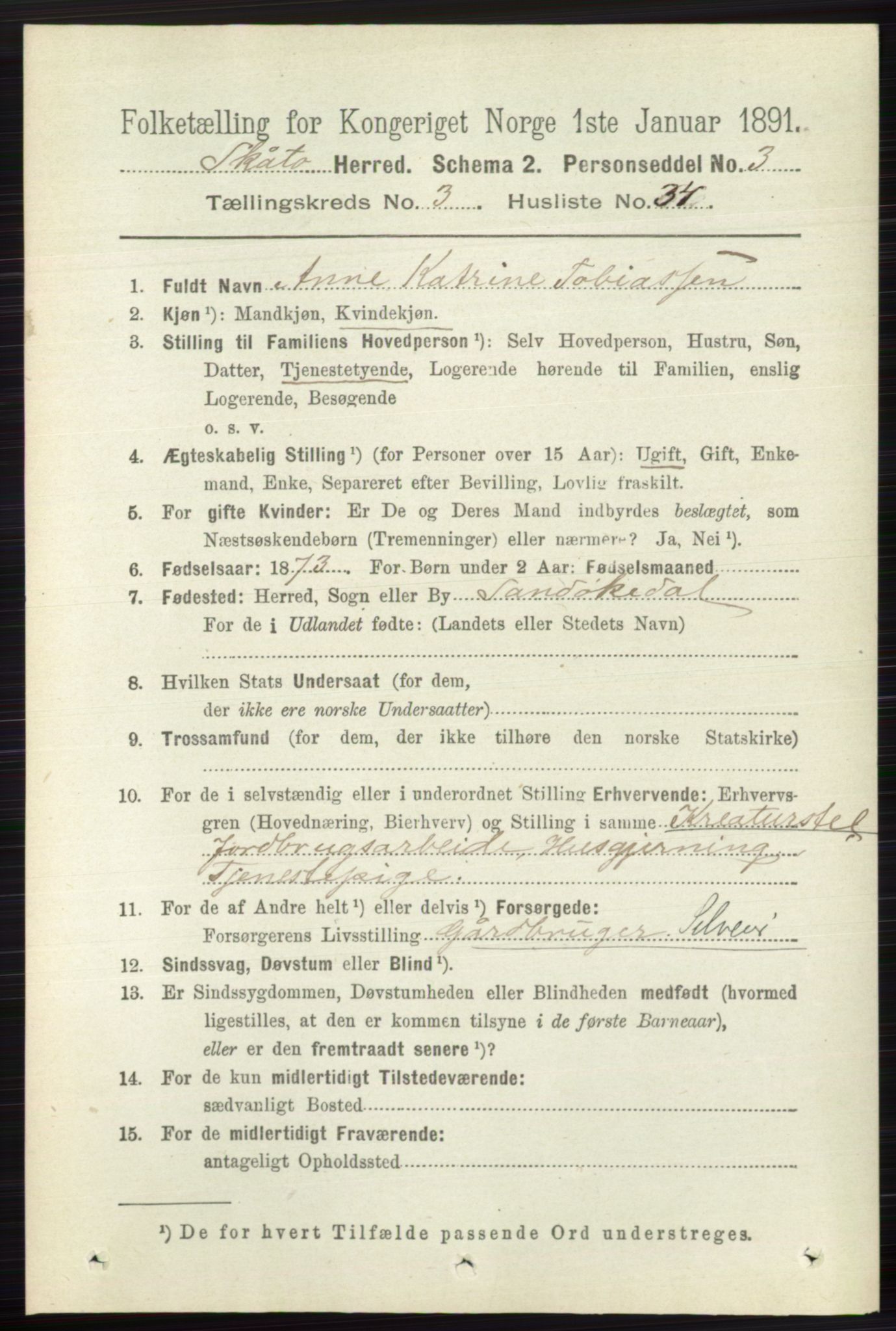 RA, 1891 census for 0815 Skåtøy, 1891, p. 665