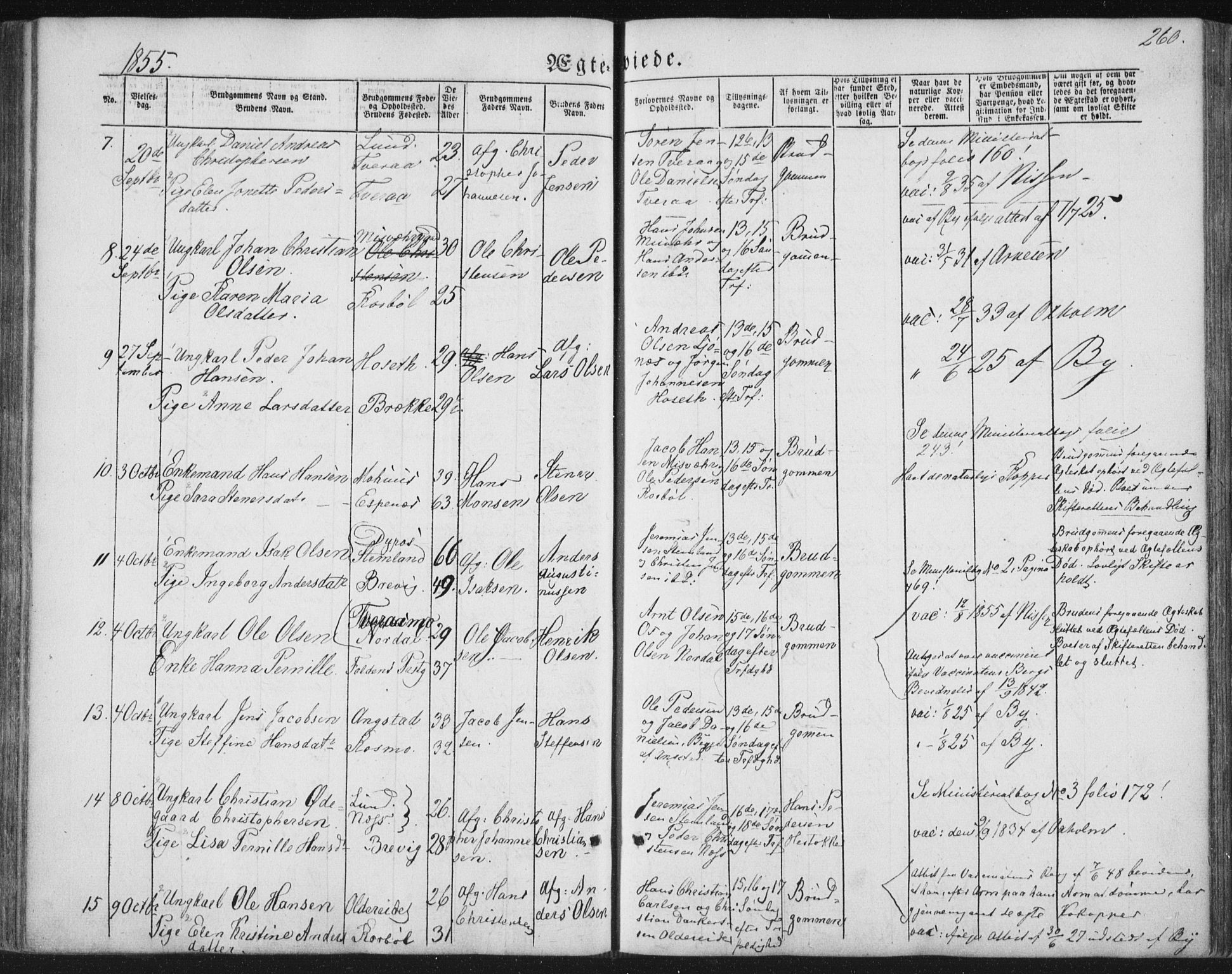 Ministerialprotokoller, klokkerbøker og fødselsregistre - Nordland, SAT/A-1459/852/L0738: Parish register (official) no. 852A08, 1849-1865, p. 260