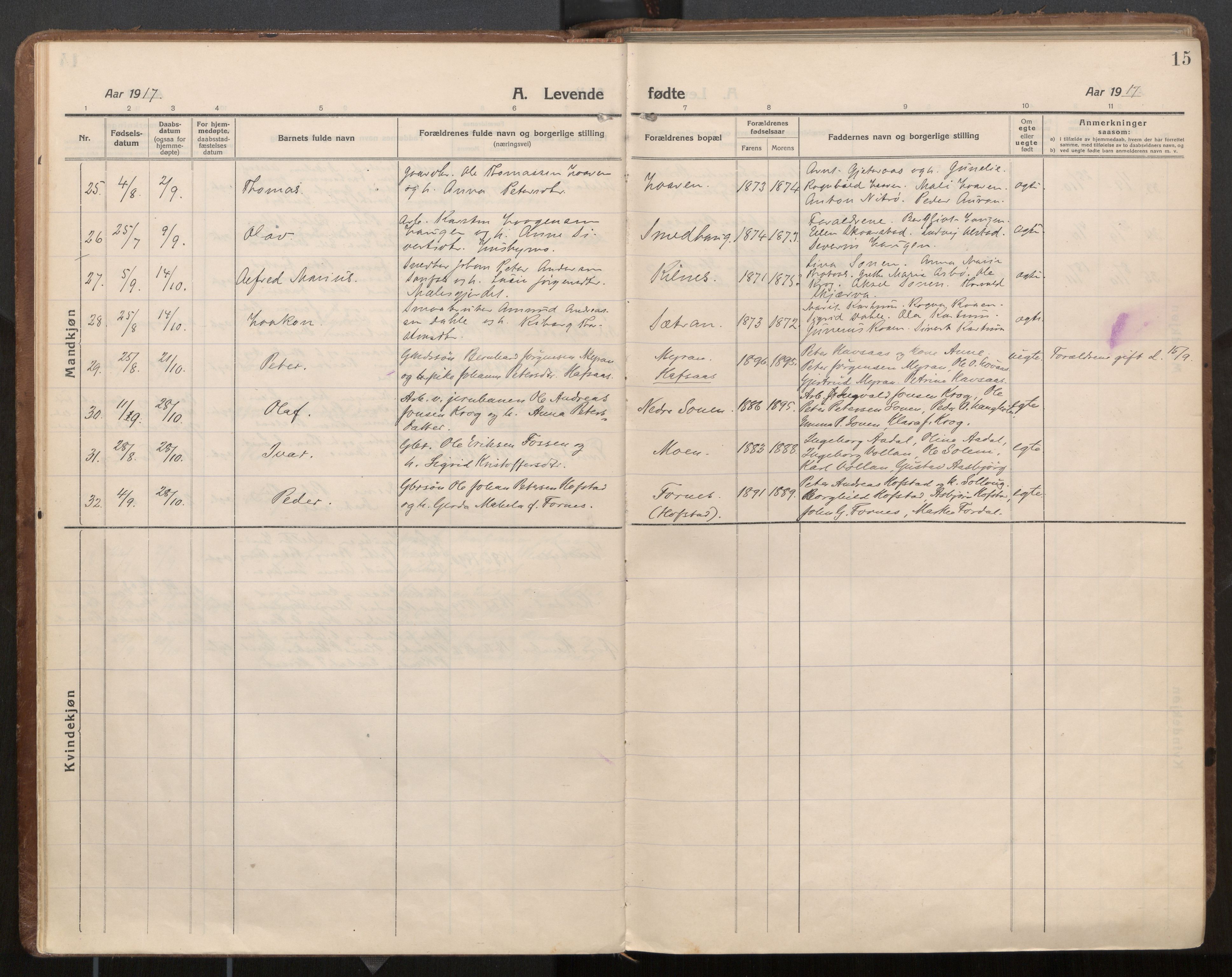 Ministerialprotokoller, klokkerbøker og fødselsregistre - Nord-Trøndelag, AV/SAT-A-1458/703/L0037: Parish register (official) no. 703A10, 1915-1932, p. 15