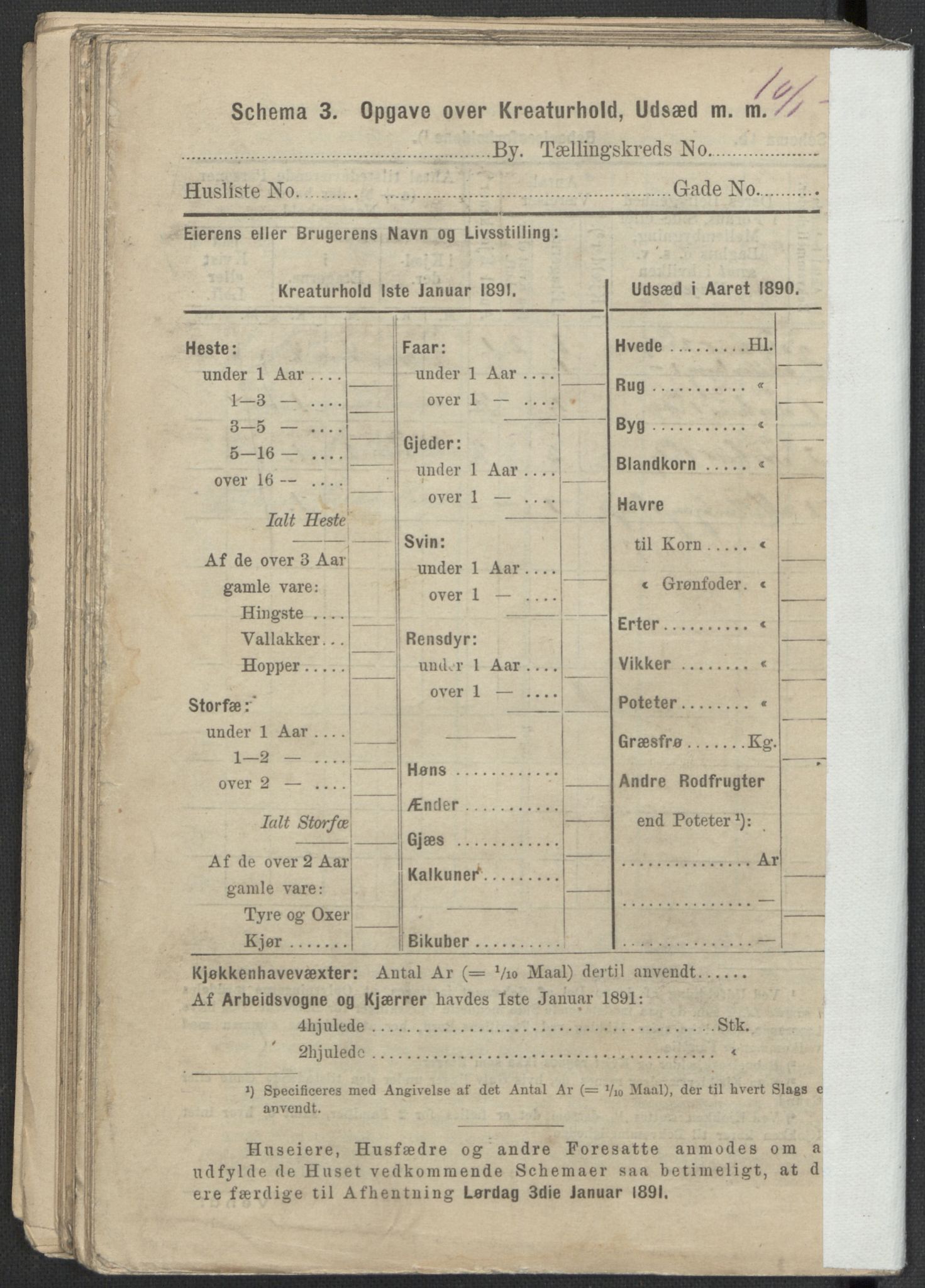 RA, 1891 Census for 1301 Bergen, 1891, p. 1338