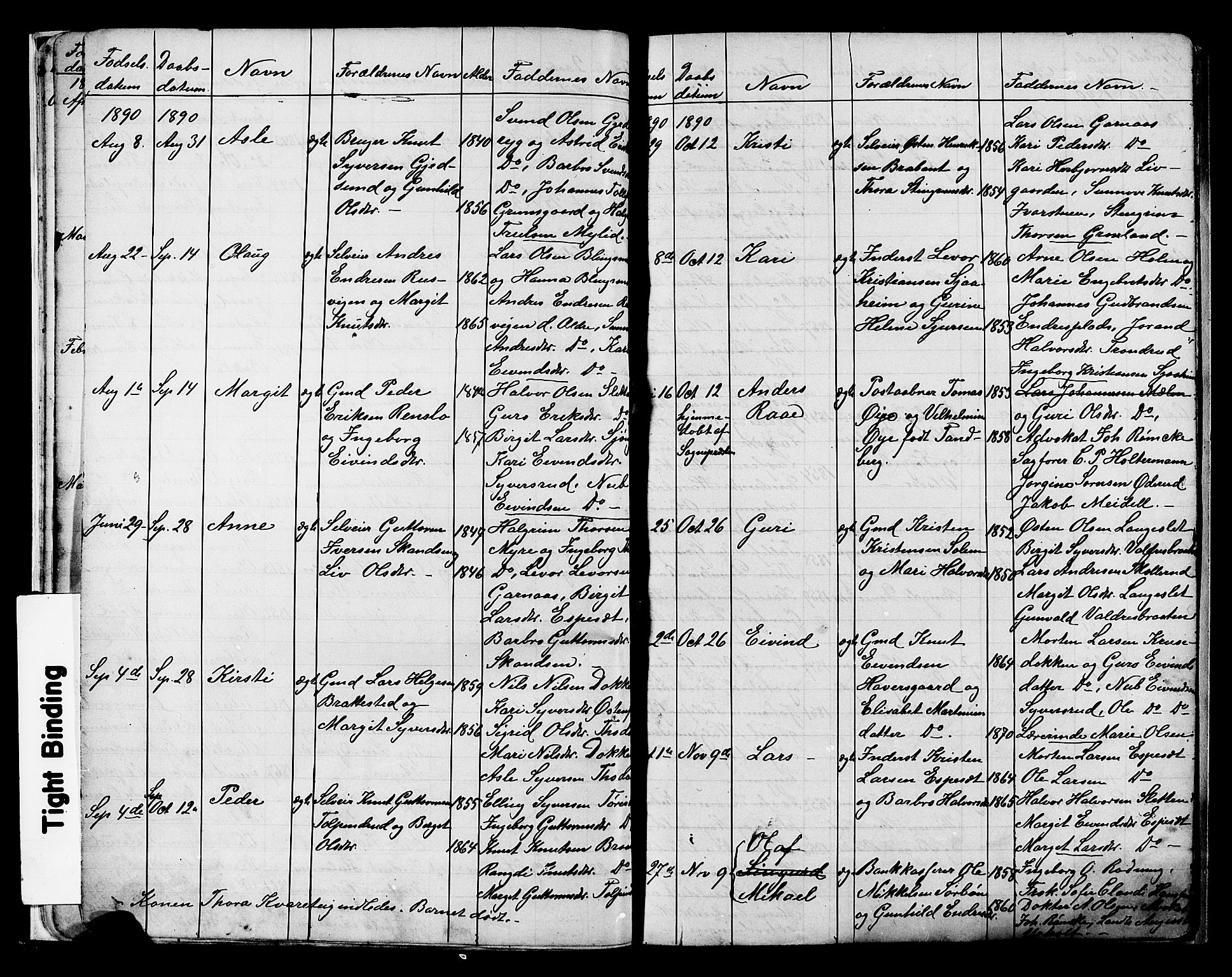 Nes kirkebøker, AV/SAKO-A-236/G/Ga/L0003: Parish register (copy) no. I 3, 1889-1909