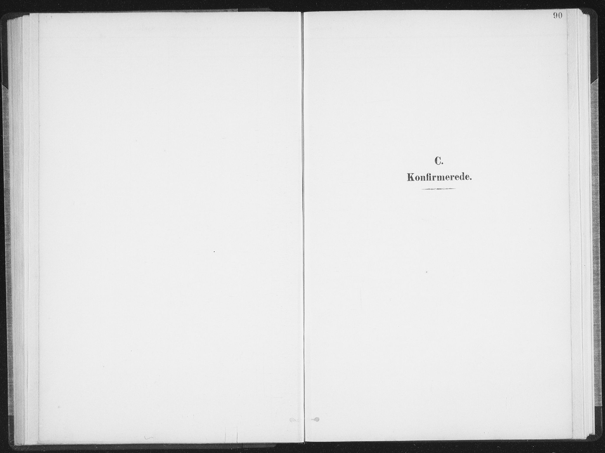 Ministerialprotokoller, klokkerbøker og fødselsregistre - Nordland, SAT/A-1459/897/L1400: Parish register (official) no. 897A07, 1897-1908, p. 90